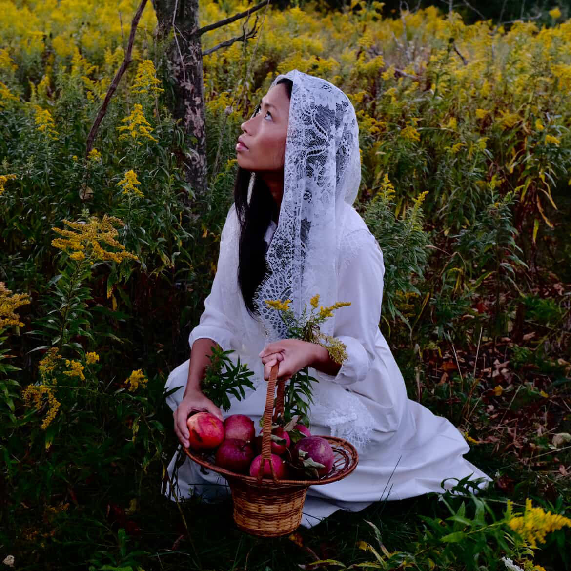 EARTH APPLE // chamomile elderberry tea