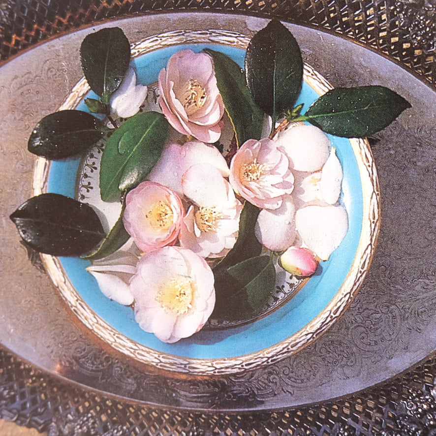 The Flower Arranger's Garden