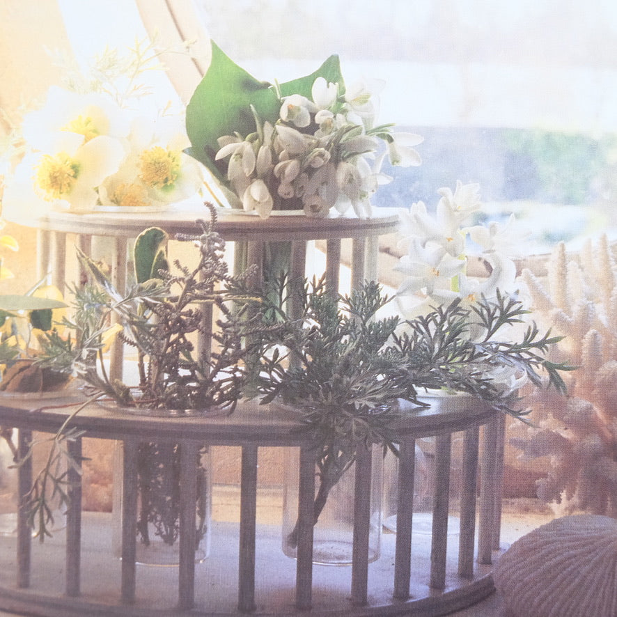 The Flower Arranger's Garden