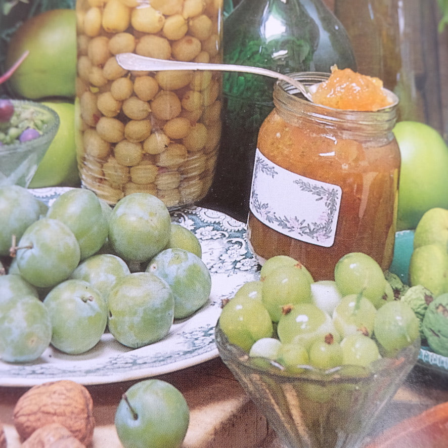 The Victorian Kitchen Book of Jams & Jellies