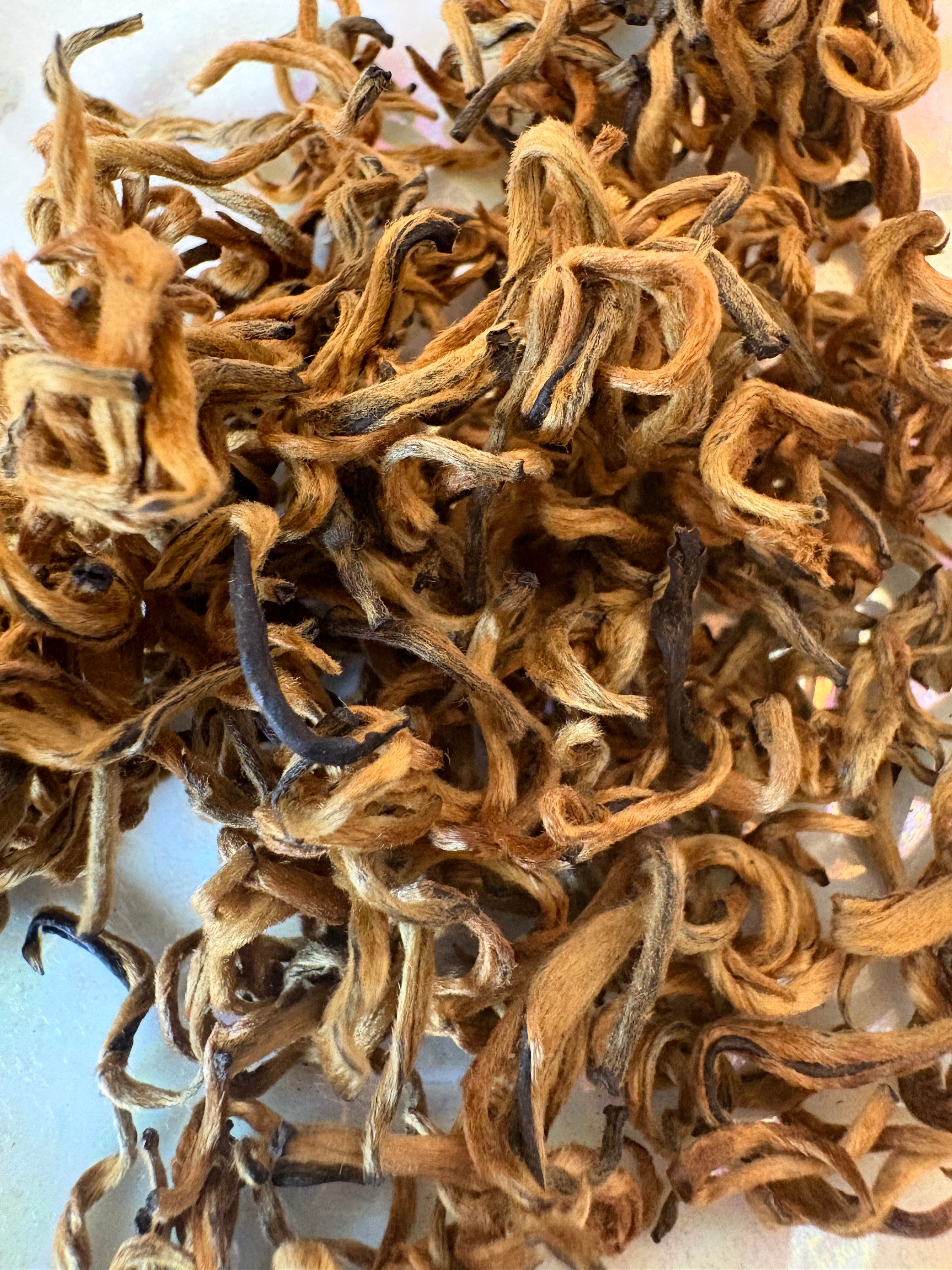 GUSHU dianhong by The New New Age