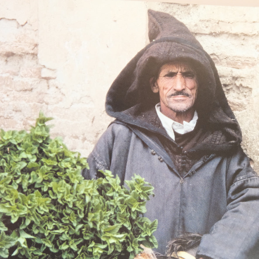 Tea, Exotic Flavors and Aromas