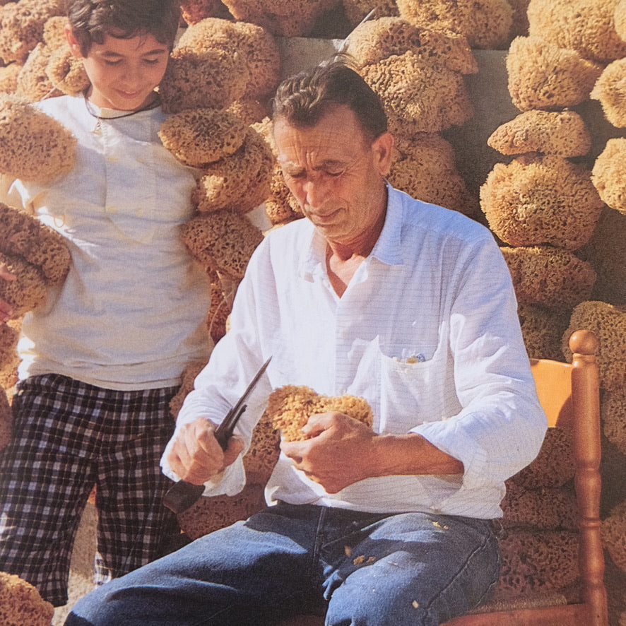 Italy the Beautiful Cookbook by De' Medici Lorenza (1996)