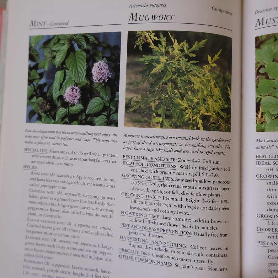HERBS: RODALE'S SUCCESSFUL ORGANIC GARDENING