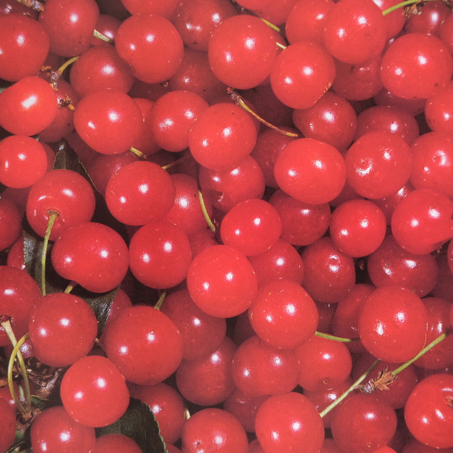 Canning and Preserving by Linda Ferrari (1994)