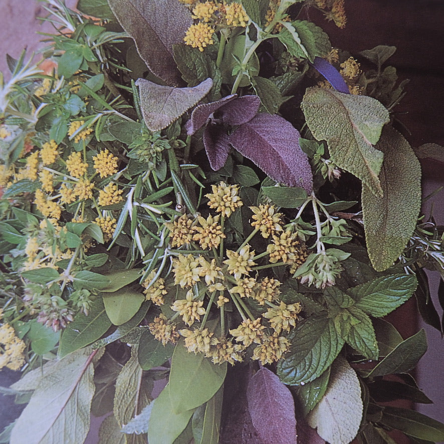 The Complete Book of Herbs: A Practical Guide to Cultivating, Drying, and Cooking With More Than 50 Herbs by Emma Callery (1994)