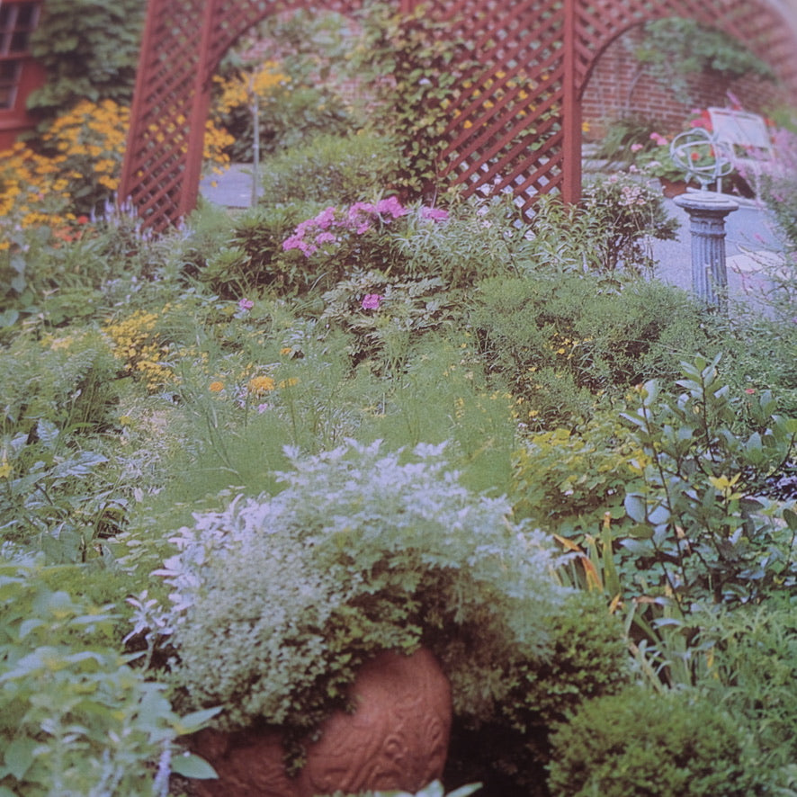 HERBS: RODALE'S SUCCESSFUL ORGANIC GARDENING