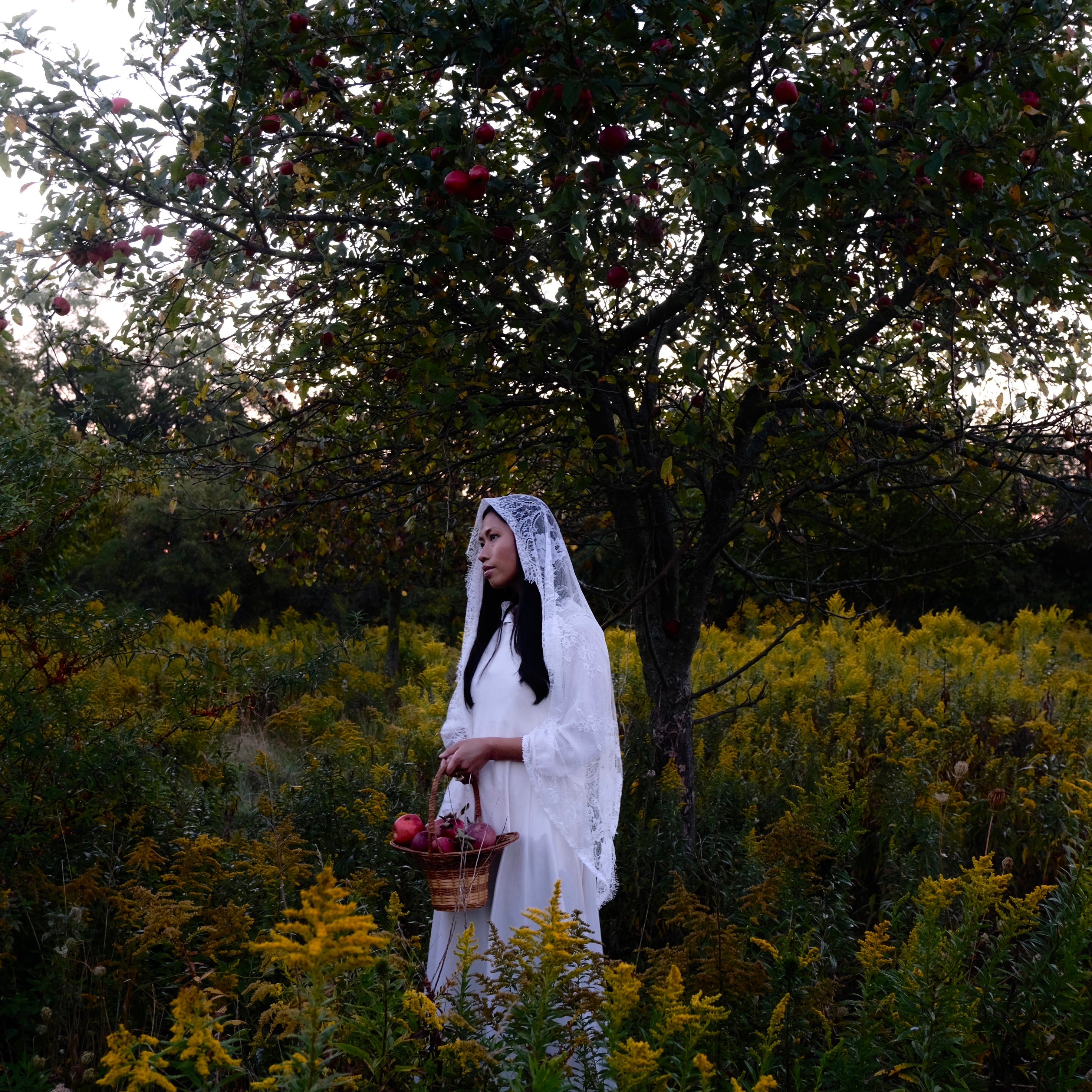 EARTH APPLE // chamomile elderberry tea