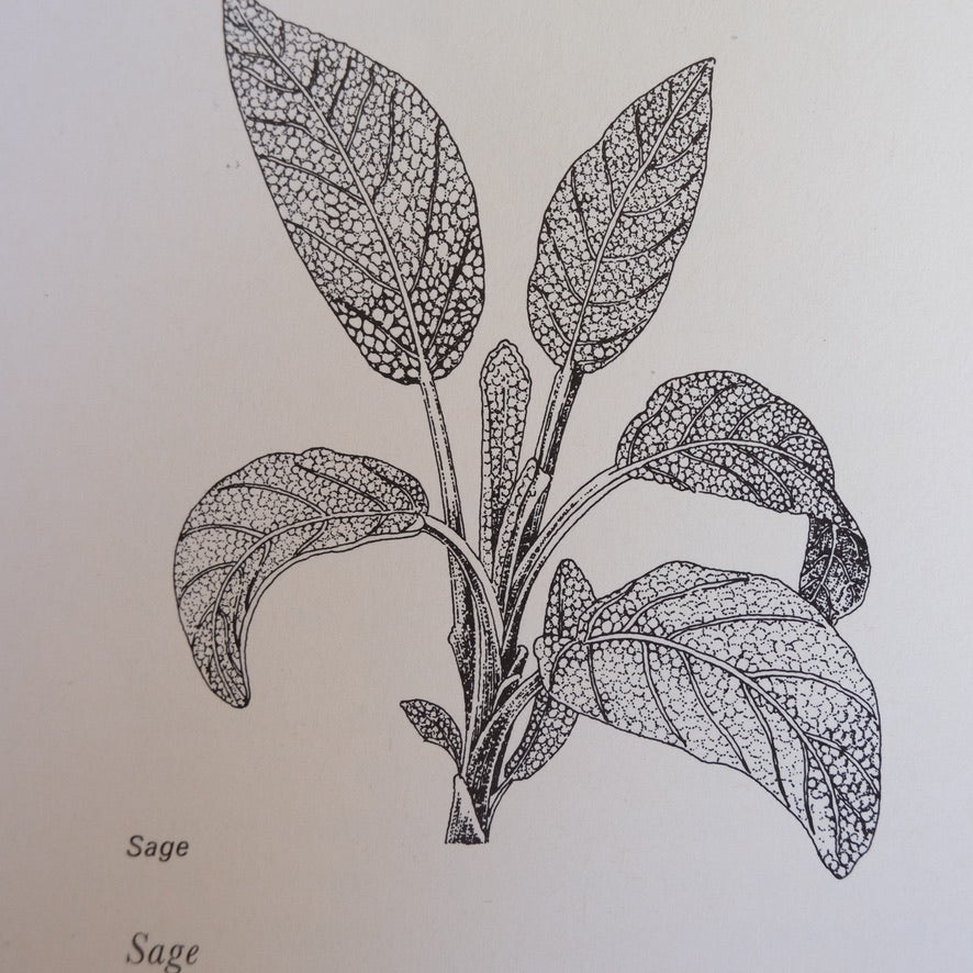 A Taste of the Country: Making the Best of Home Produce