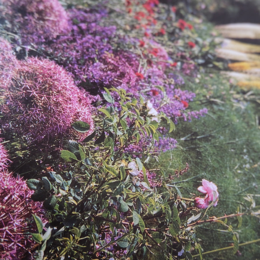 The Complete Gardener by Monty Don