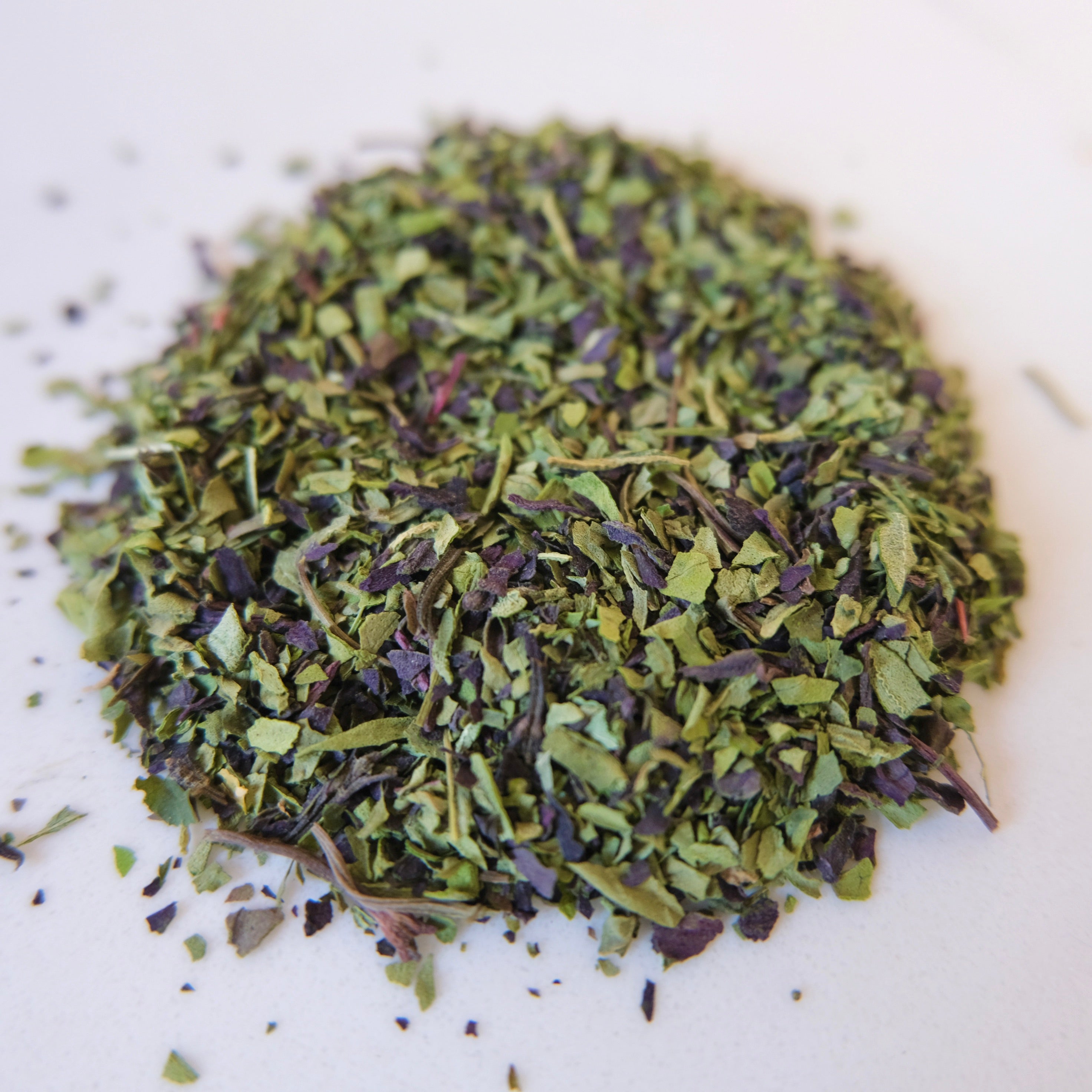 Dry green herbs on a white background