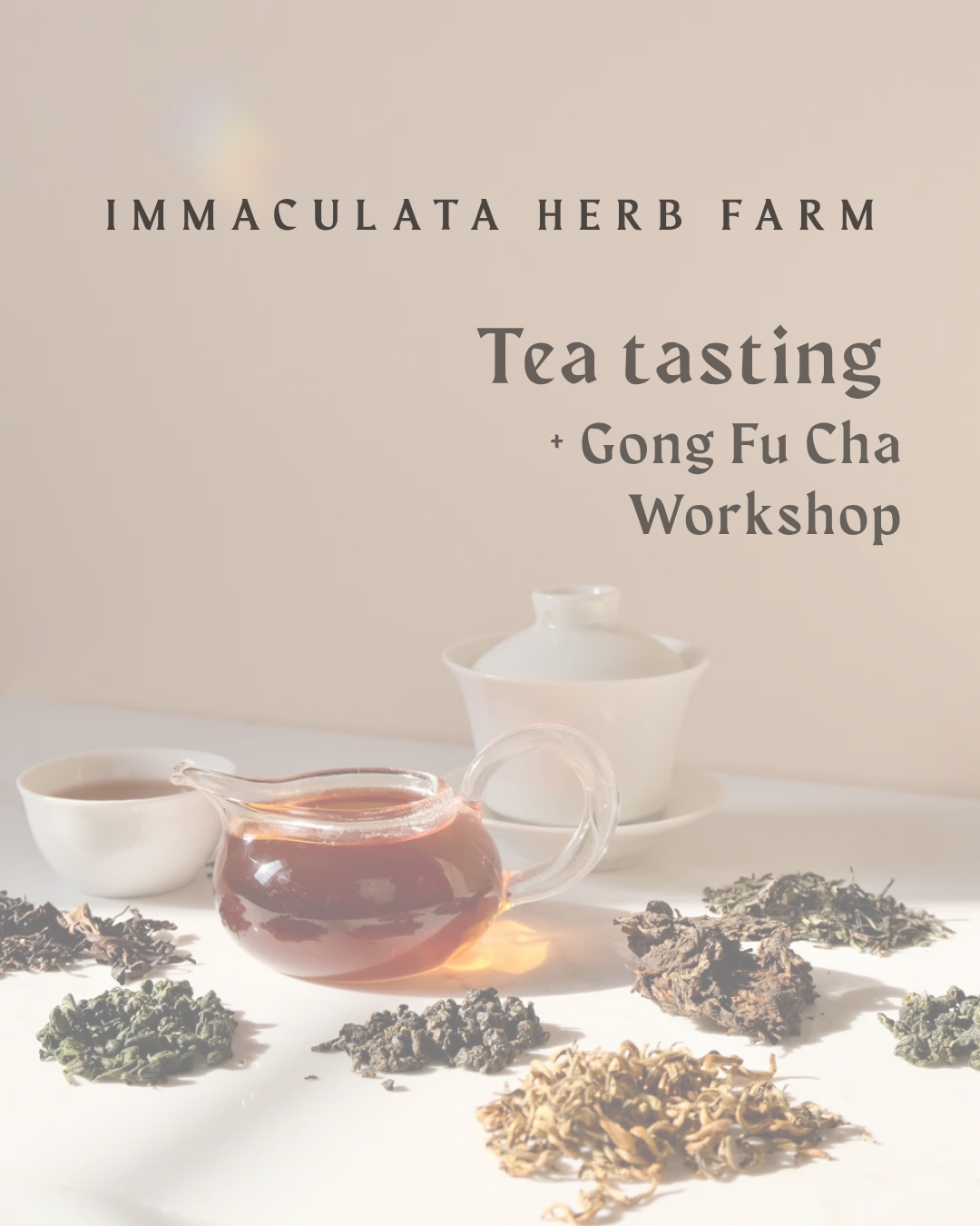 TEA TASTING & GONG FU CHA WORKSHOP