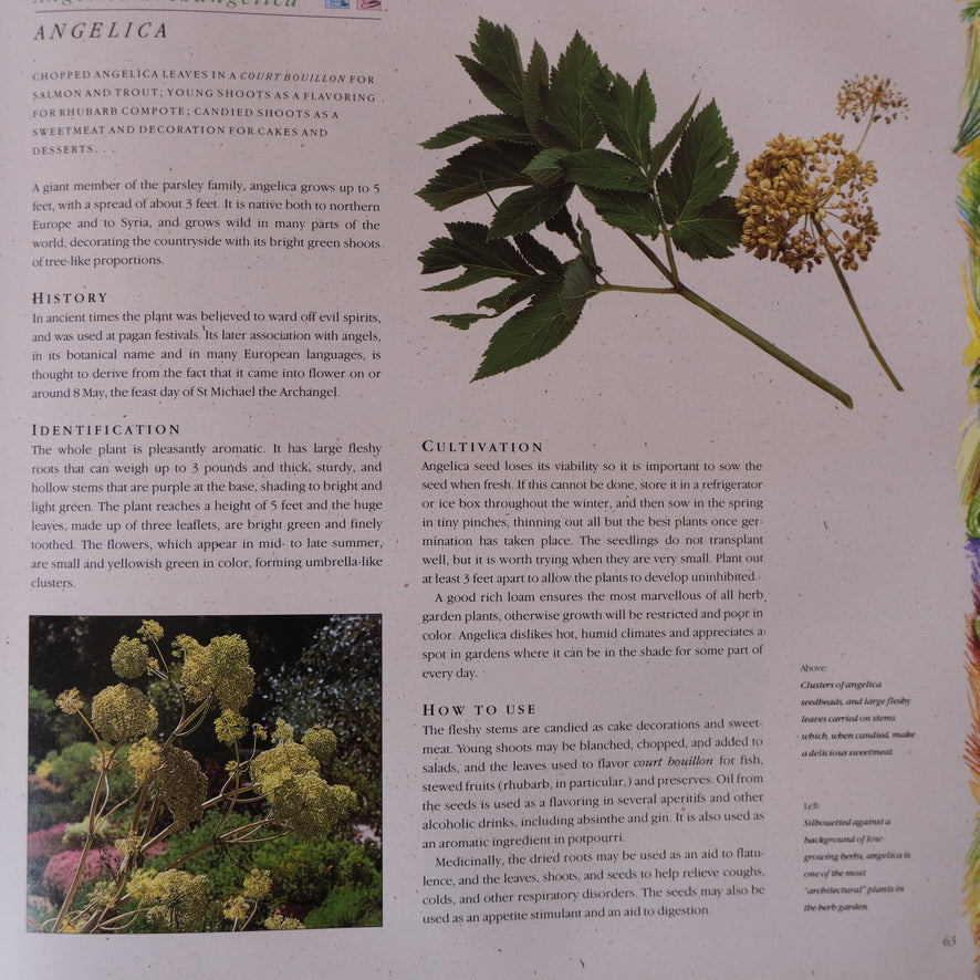 The Complete Book of Herbs: A Practical Guide to Cultivating, Drying, and Cooking With More Than 50 Herbs by Emma Callery (1994)