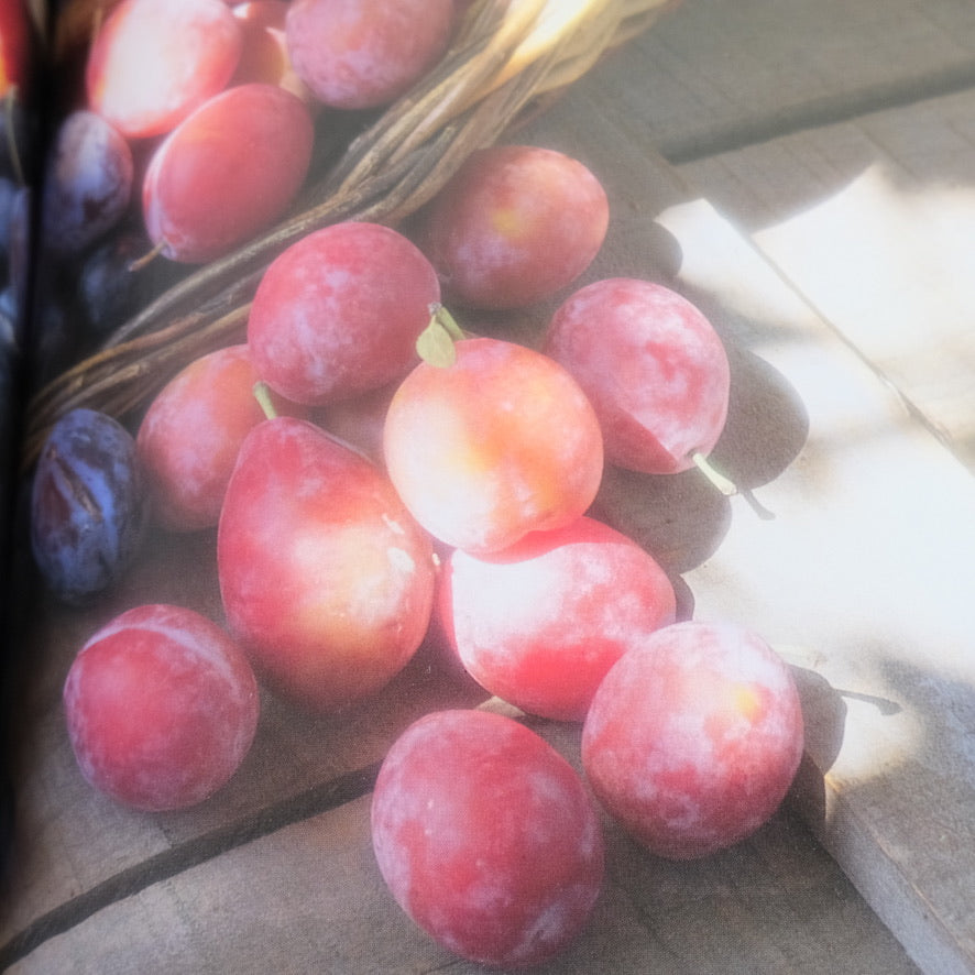 The Victorian Kitchen Book of Jams & Jellies