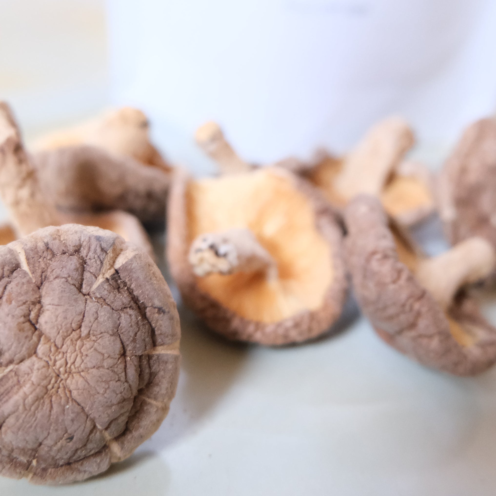 SHIITAKE