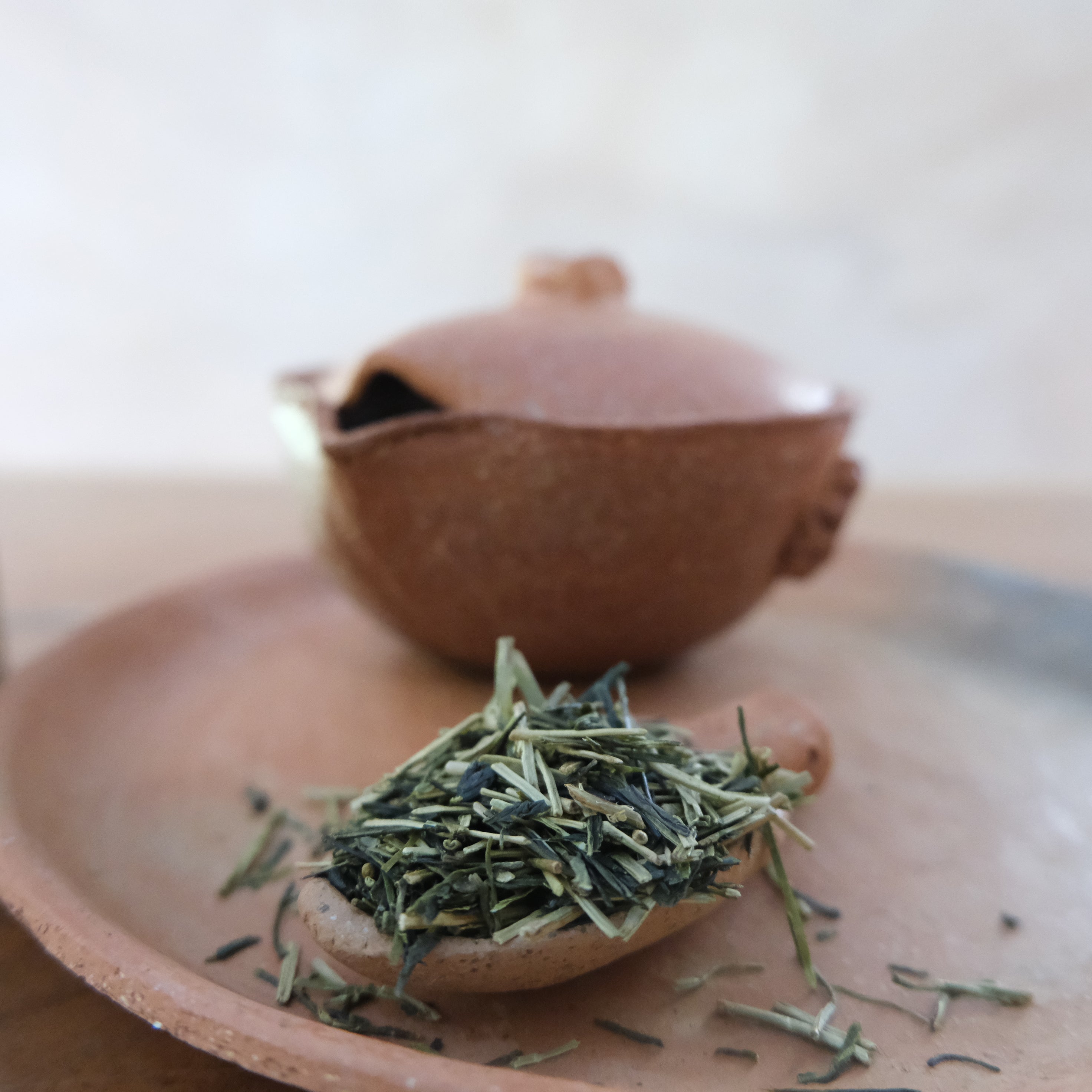Dry kukicha green tea leaves on a ceramic spoon with a blurred teapot in the background