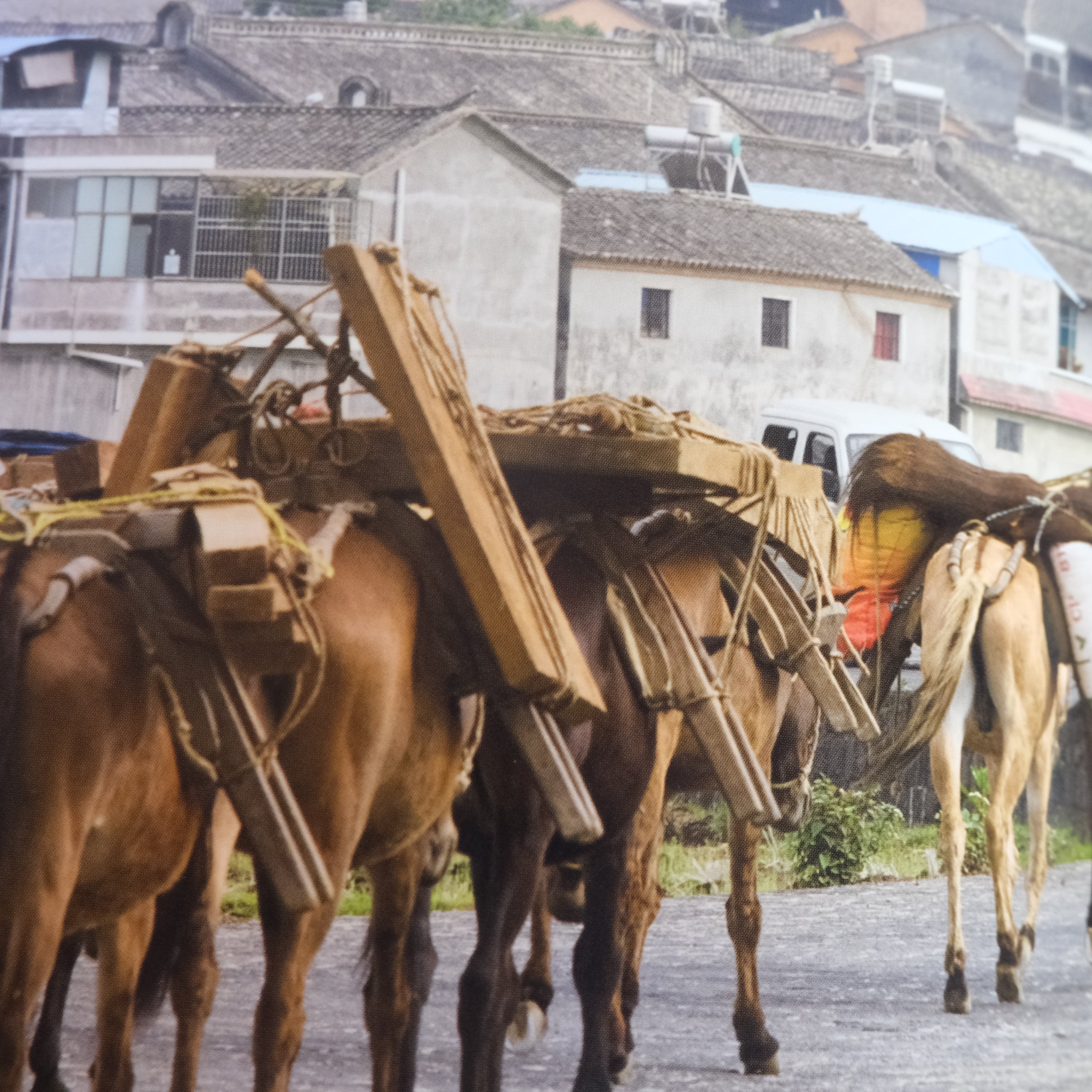 The Tea Horse Road: China's Ancient Trade Road to Tibet