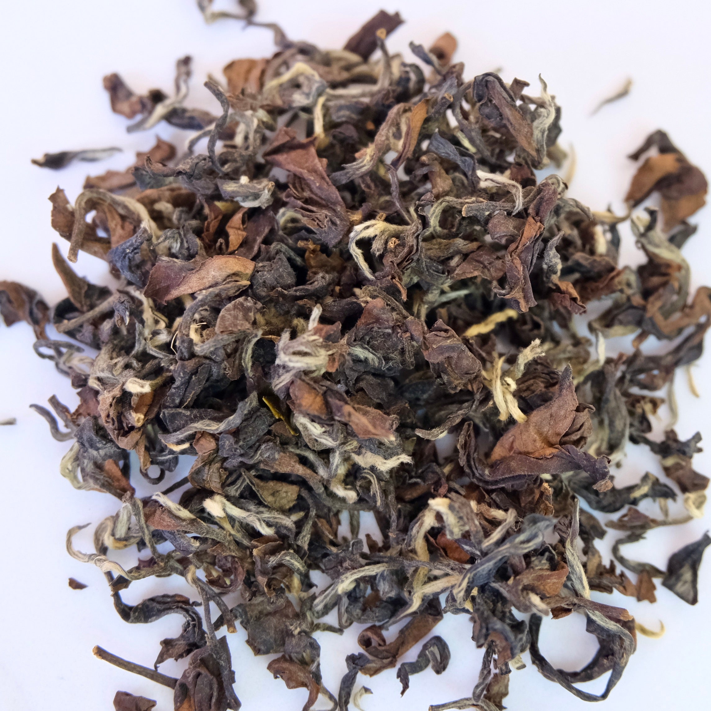 BAI HAO ORIENTAL BEAUTY BUG-BITTEN OOLONG