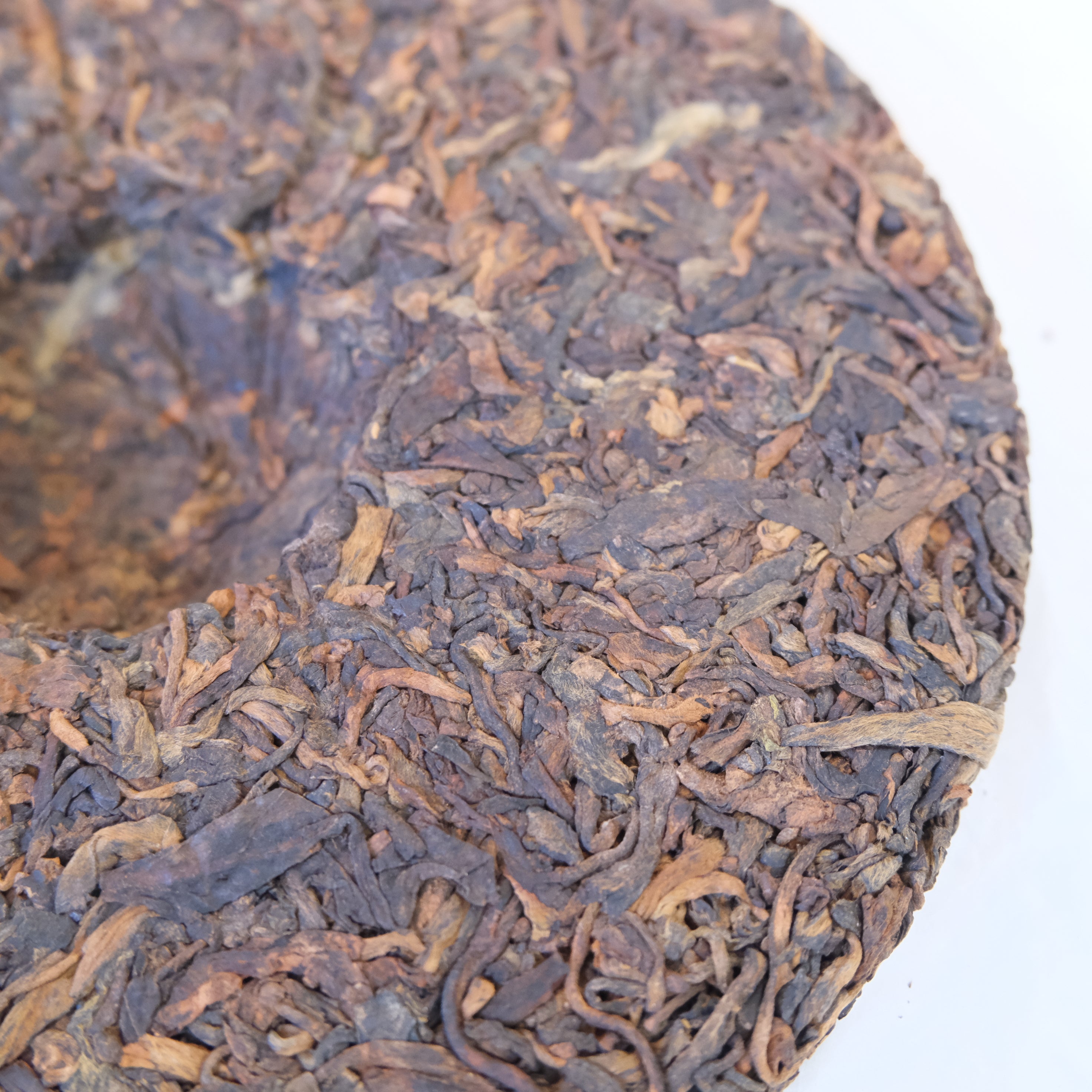 KOMBUCHA FERMENTED 2019 BULANG GUSHU SHU PUERH