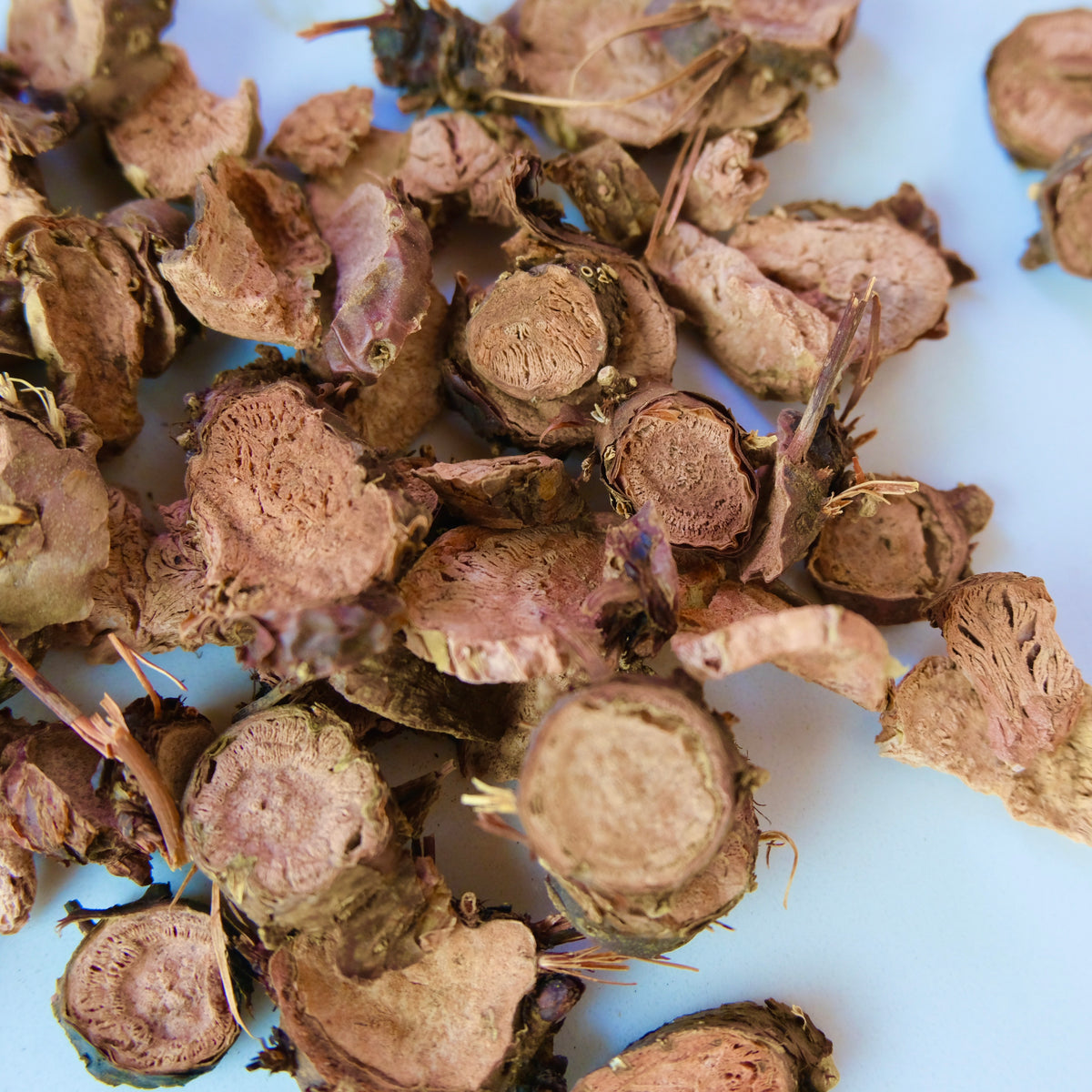 RHODIOLA ROOT