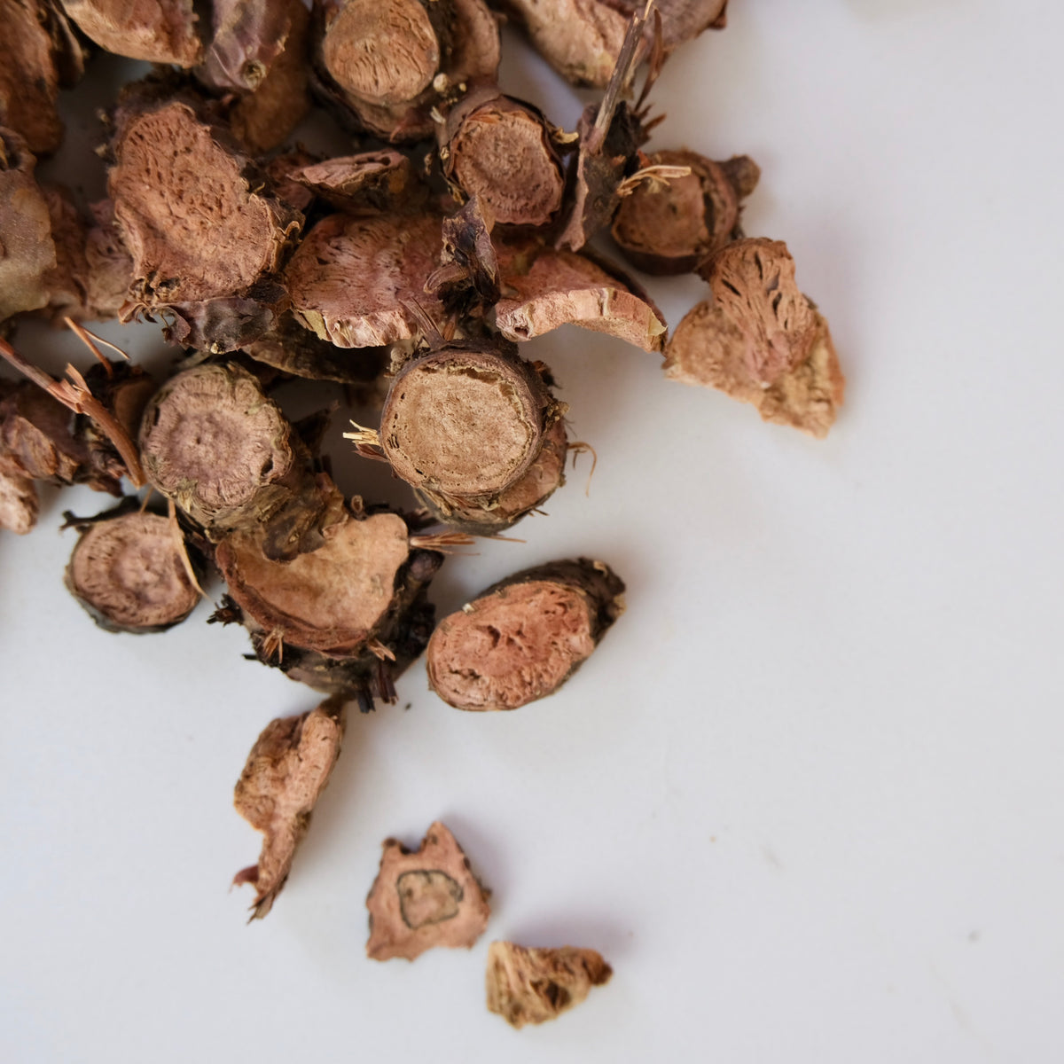 RHODIOLA ROOT