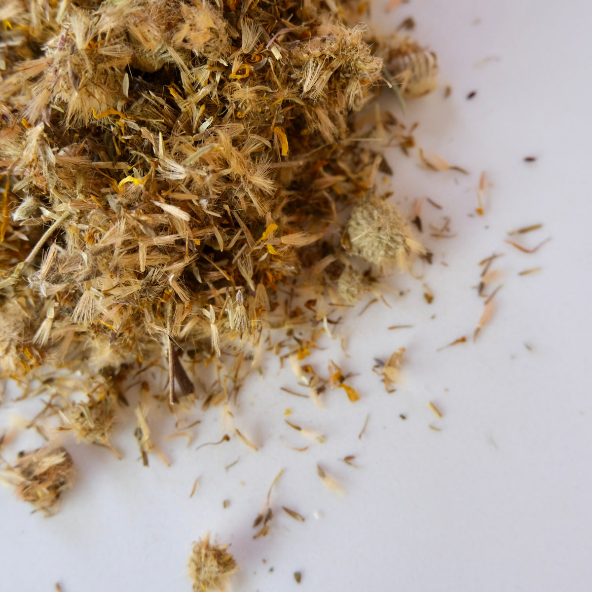 ARNICA