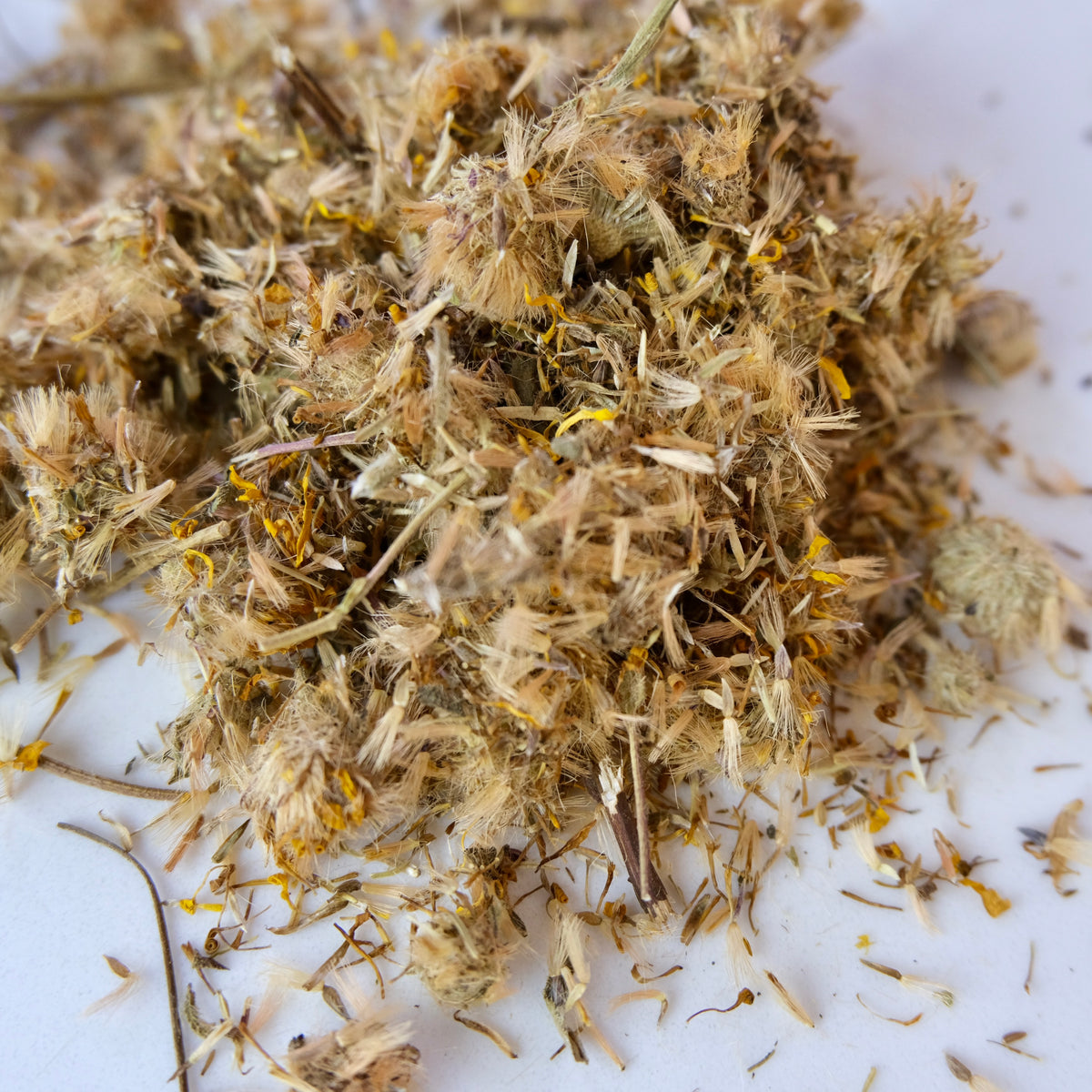 ARNICA