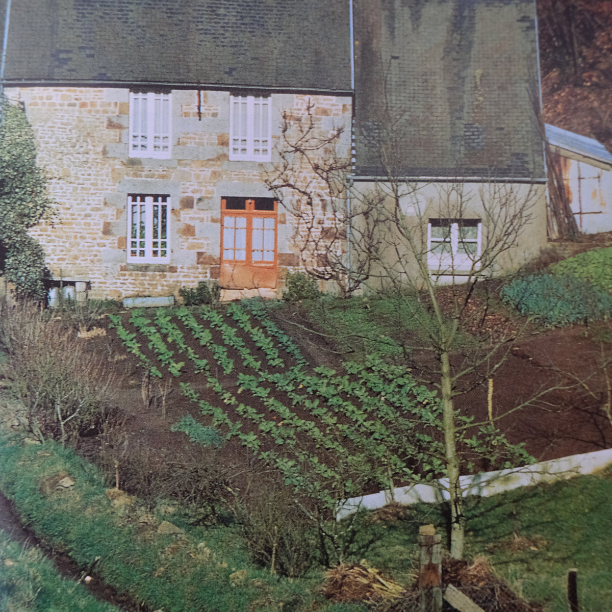 RECIPES FROM A FRENCH HERB GARDEN by GERALDENE HOLT