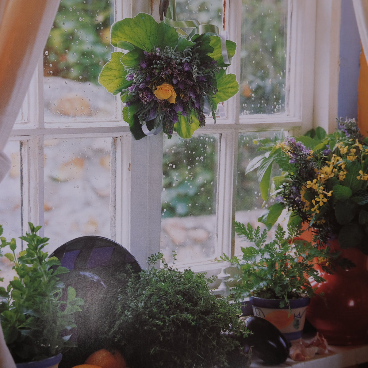 THE ILLUSTRATED BOOK OF HERBS