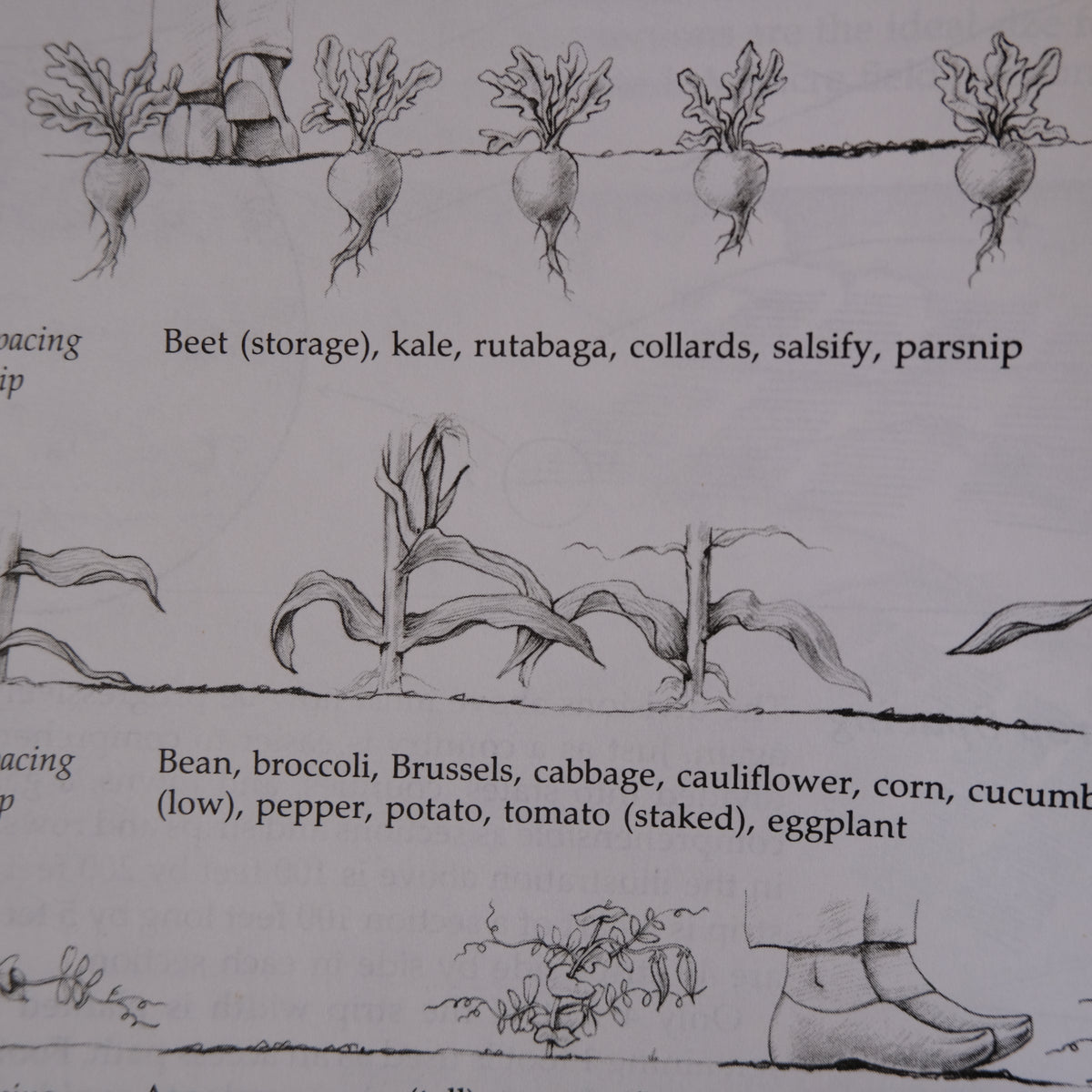 THE NEW ORGANIC GROWER by ELIOT COLEMAN
