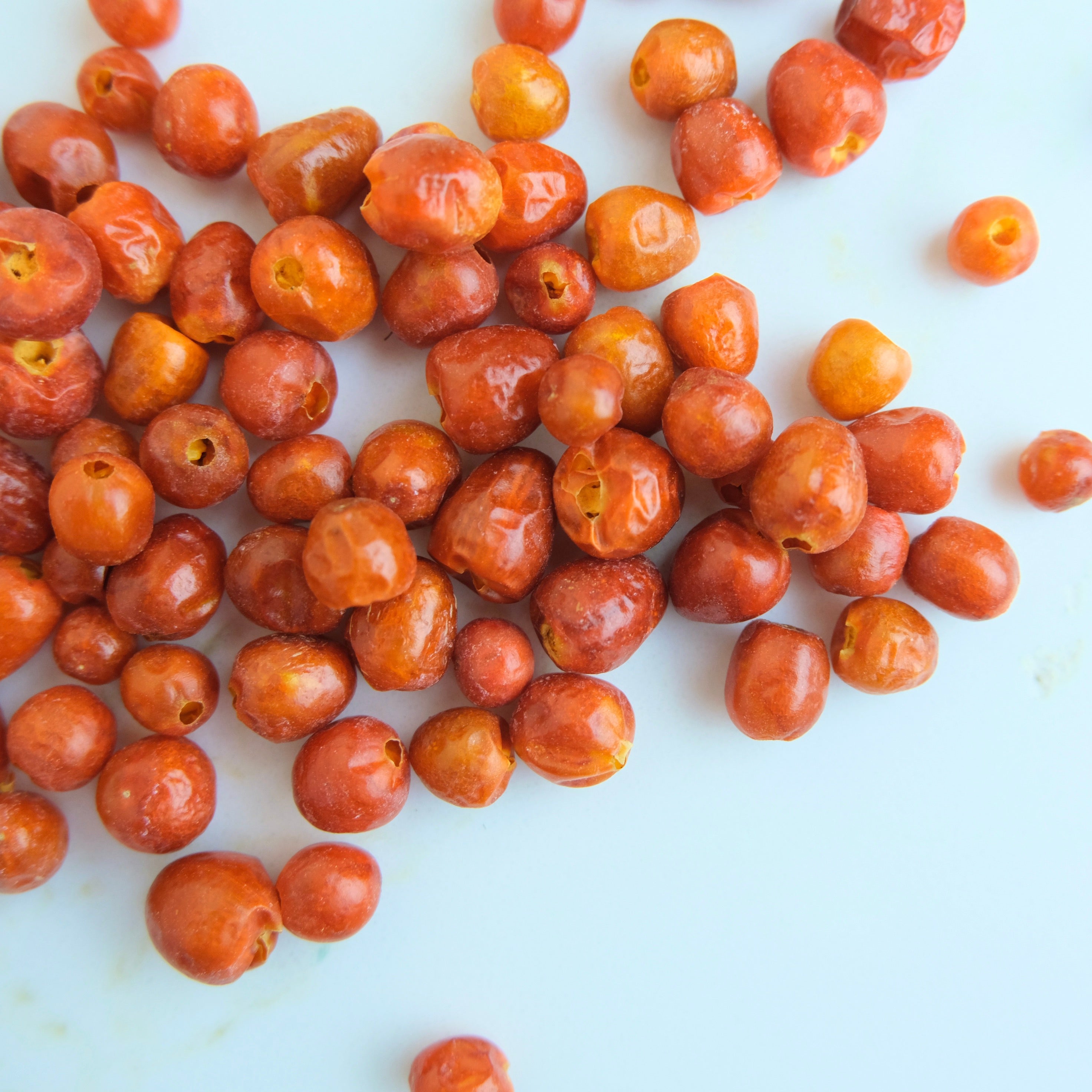 WILD CHILTEPIN - AUTHENTIC WILD BIRD CHILI