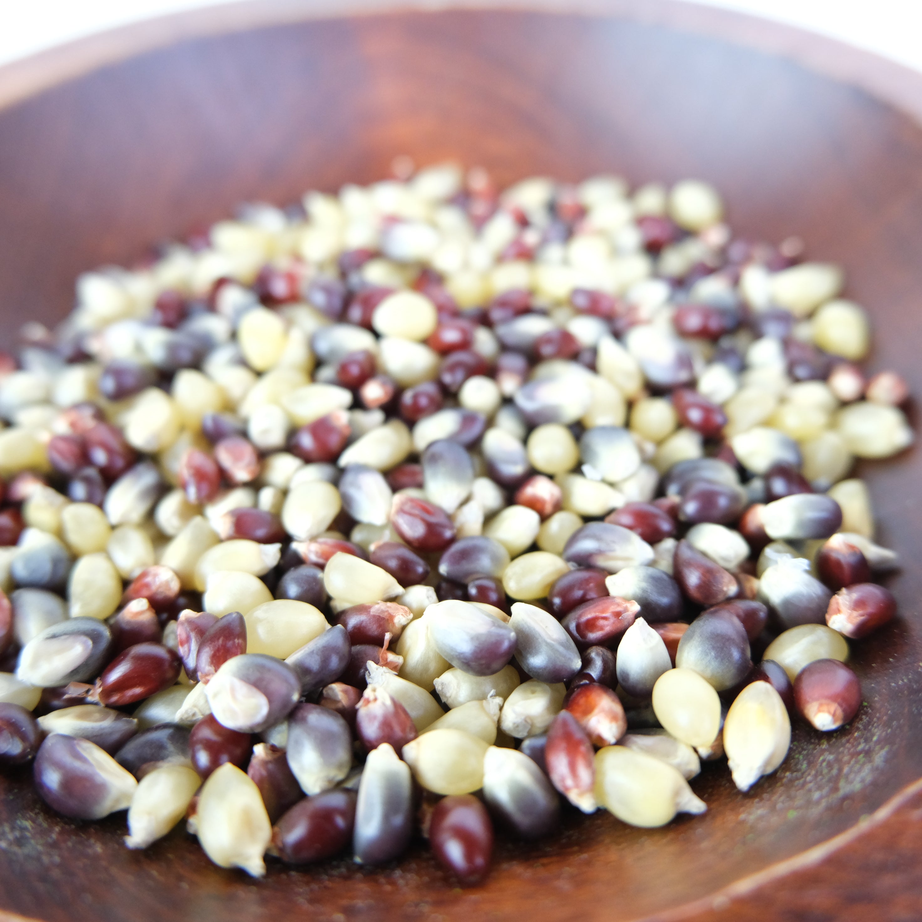 AMISH COUNTRY POPPING CORN