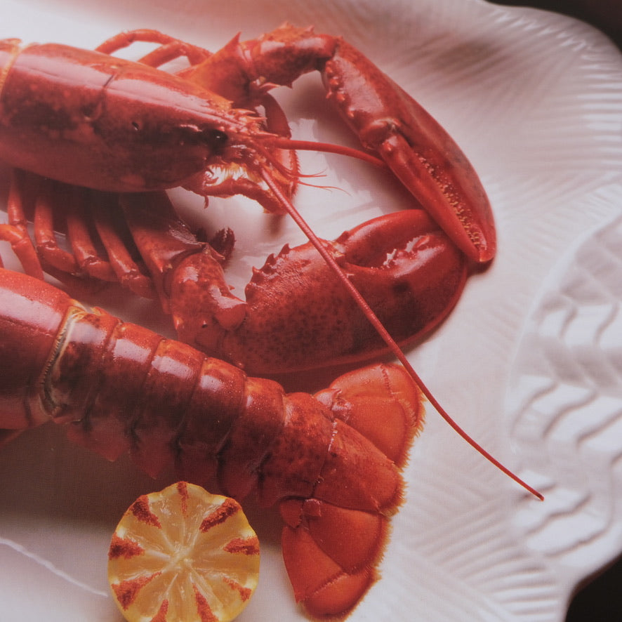 America The Beautiful Cookbook: Authentic Recipes From the United States of America by Phillip S. Schulz (1990)