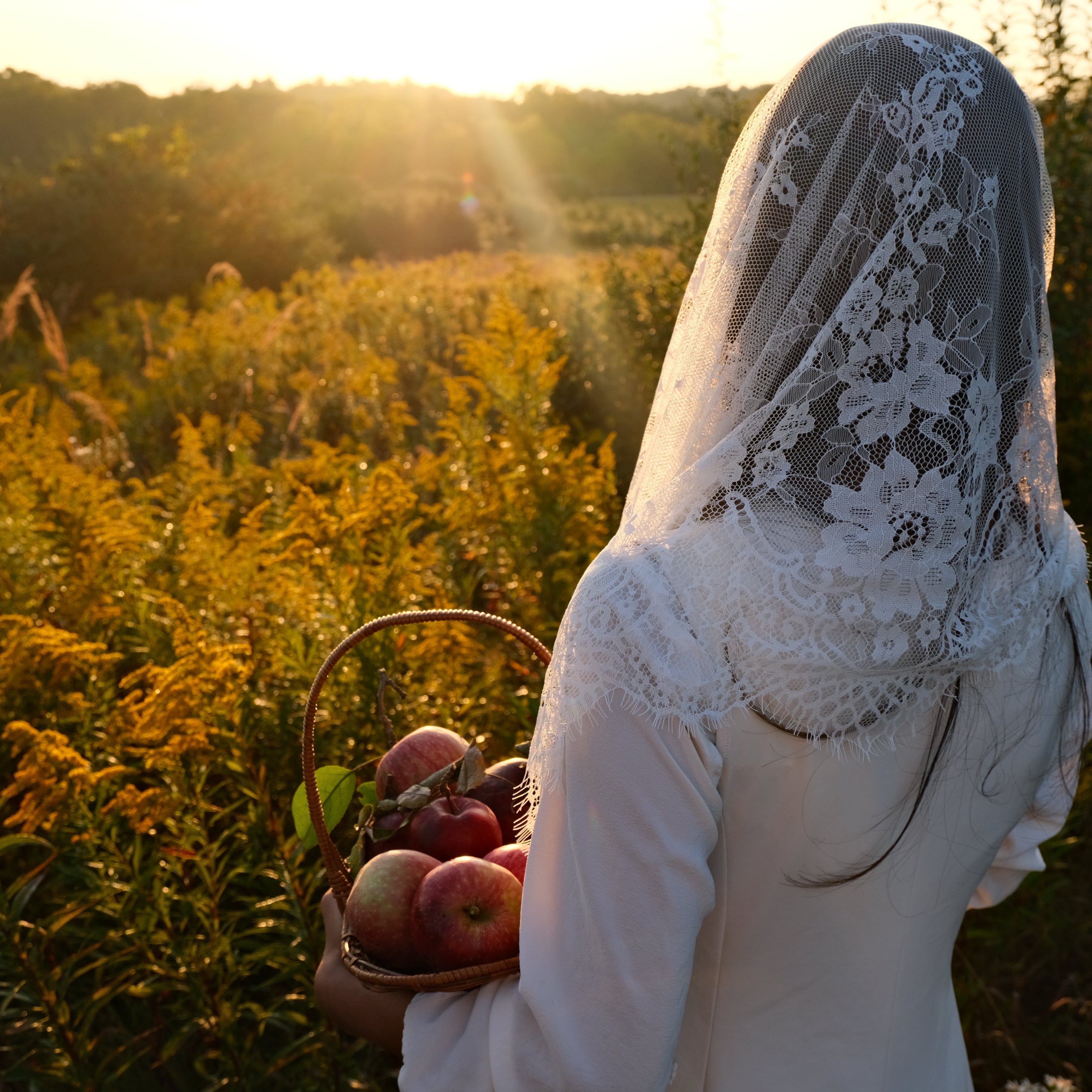 EARTH APPLE // chamomile elderberry tea