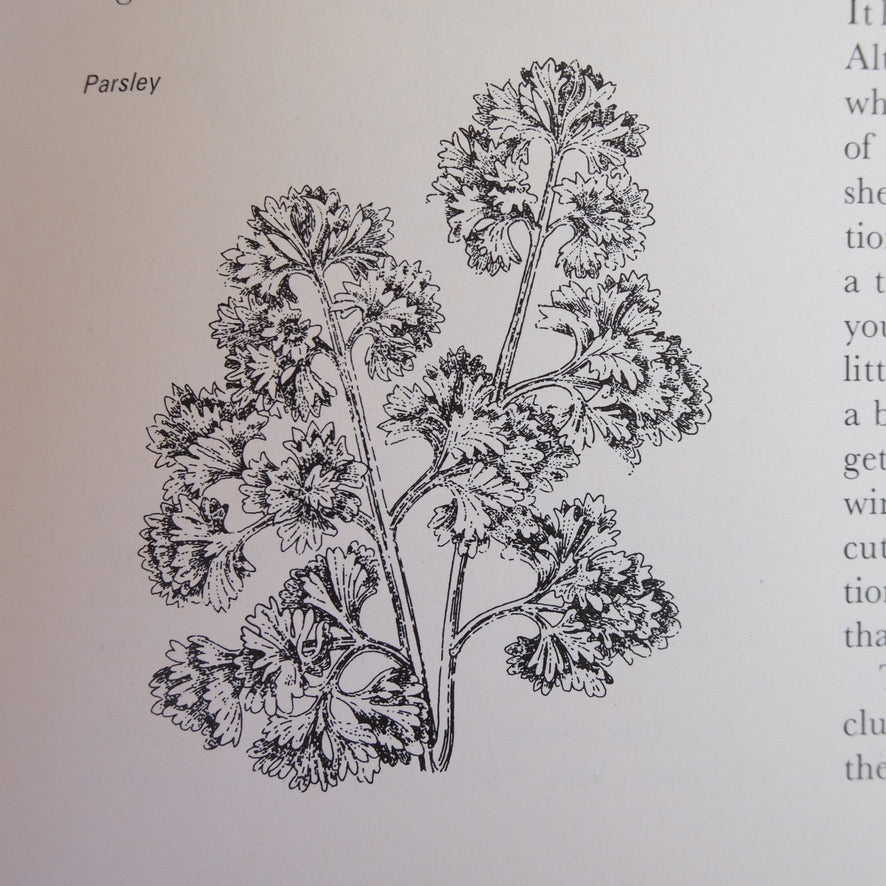 A Taste of the Country: Making the Best of Home Produce