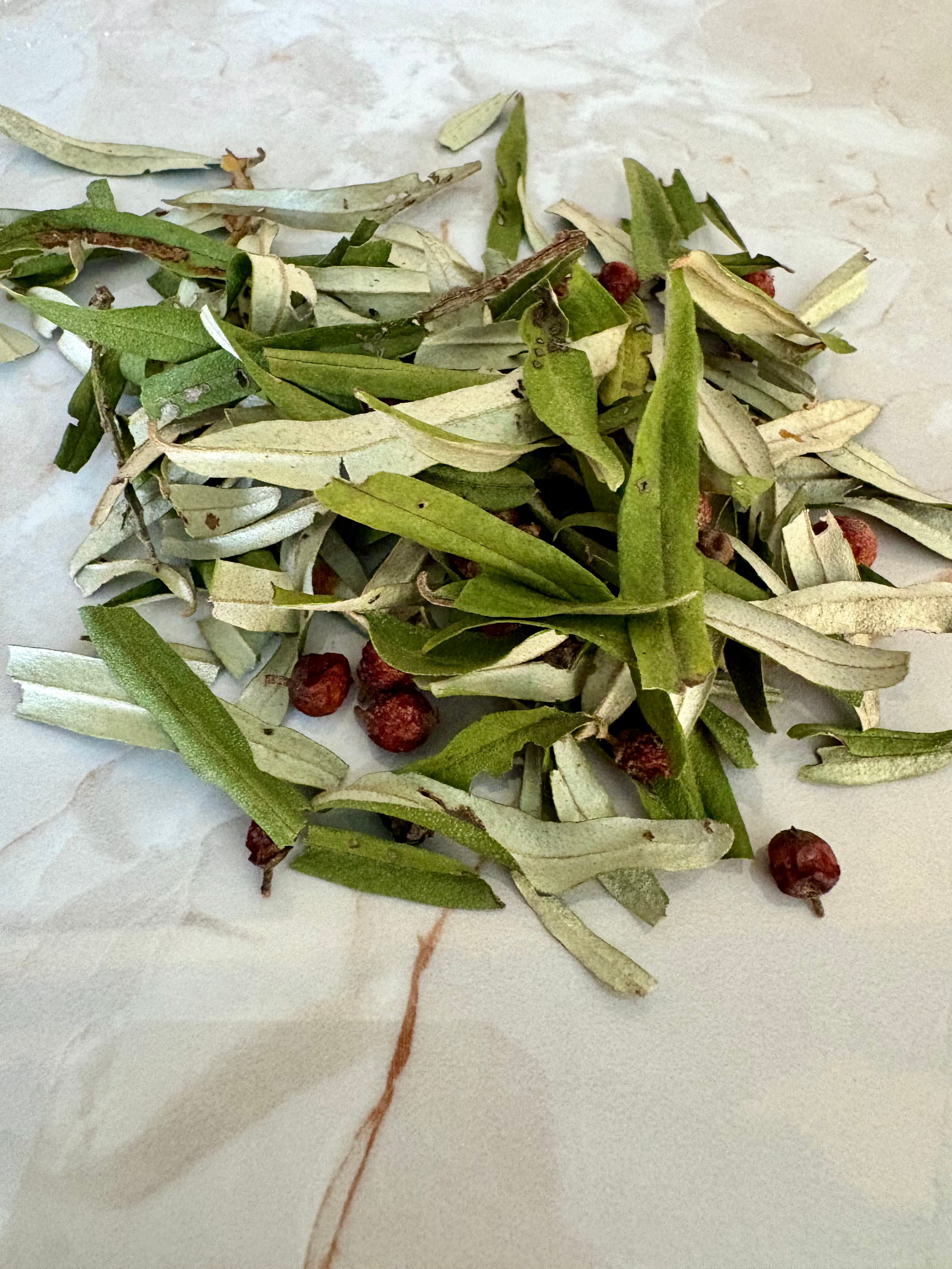 SEA BUCKTHORN LEAF + BERRY