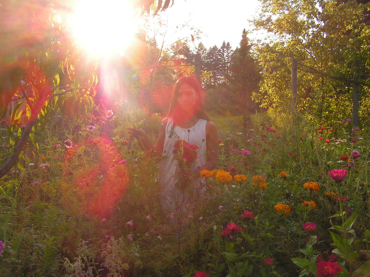 A woman standing in a sunlit flower garden, holding a bouquet of red flowers. The scene is backlit by bright sunlight with strong lens flare and lens flare rings, and the background is filled with green foliage and colorful flowers.
