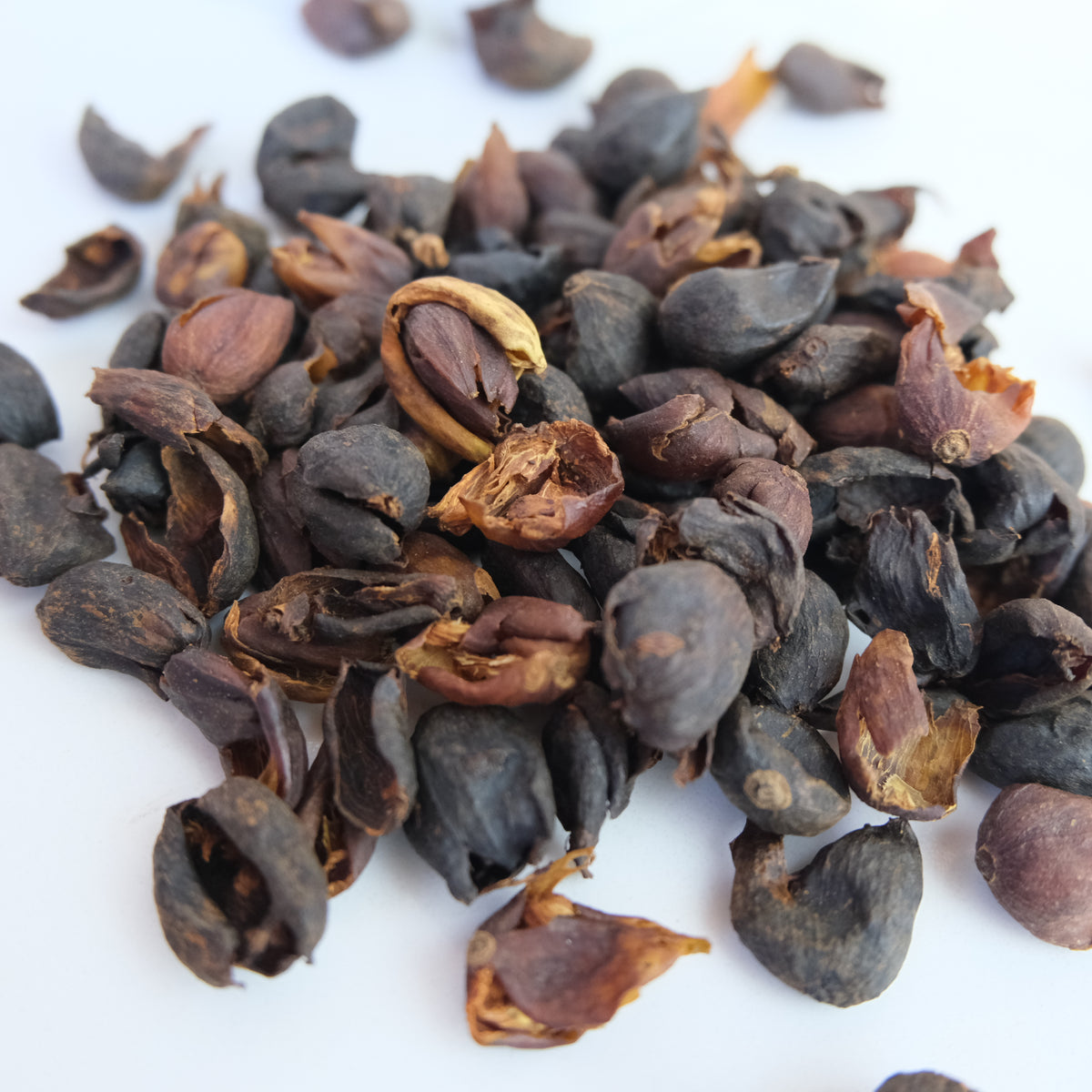 dried cascara coffee fruit