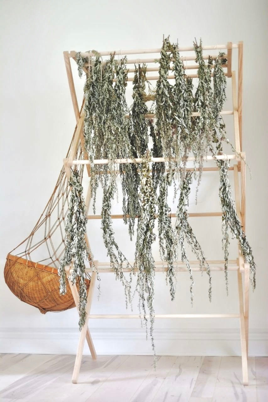Mugwort on a drying rack from Immaculata Herb Farm