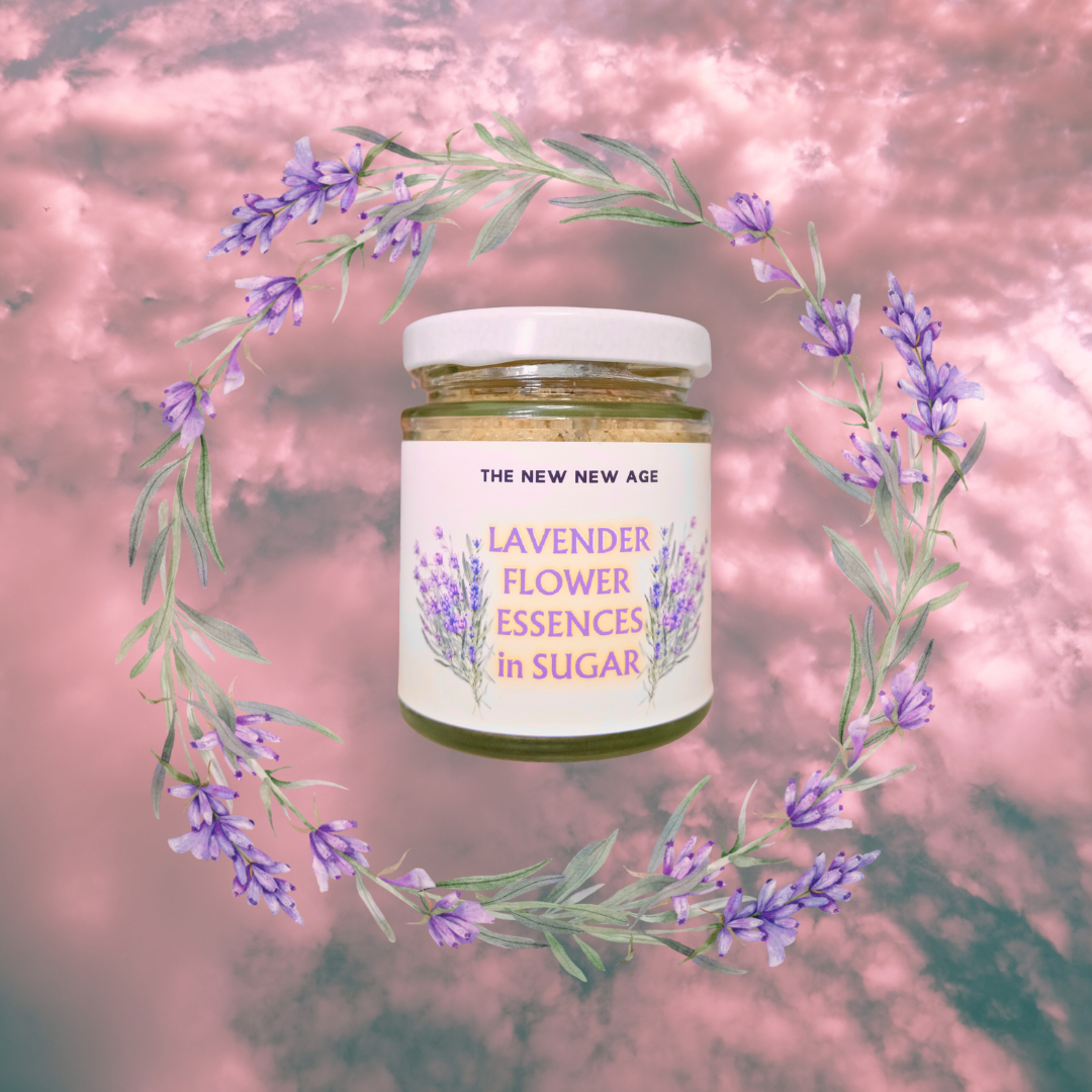 lavender flower essence LAVENDER FLOWER ESSENCES IN ORGANIC CANE SUGAR