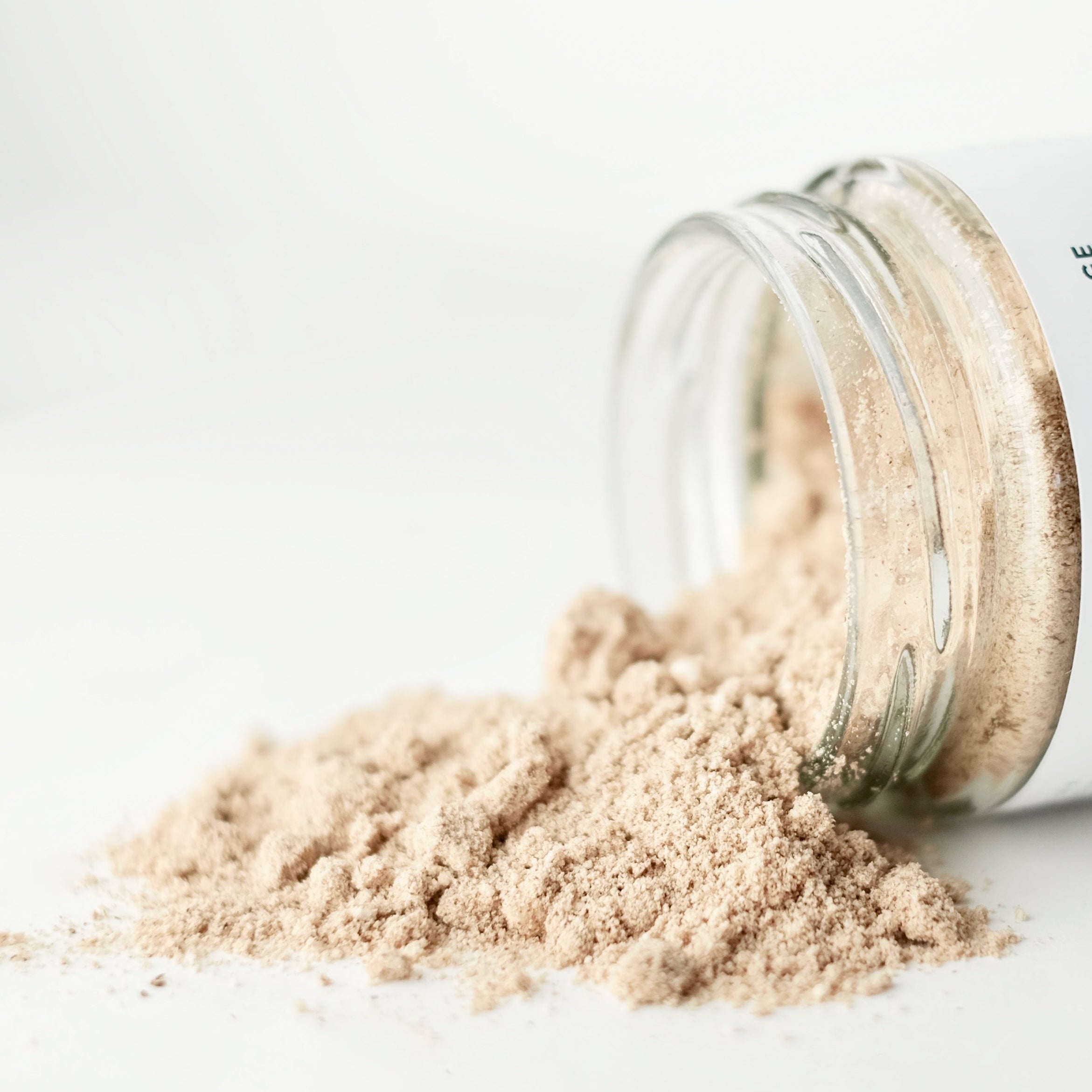 A close up of an organic herbal powder instant beverage, formulated by Immaculata Herb Farm. Mushroom Milk is a delicious blend of dehydrated organic coconut milk and 6 medicinal mushroom extract powders (chaga and reishi dual extract, lions mane, maitake, cordyceps, and turkey tail). Mushroom Milk is a creamy, nourishing instant beverage with immune and adaptogenic support.