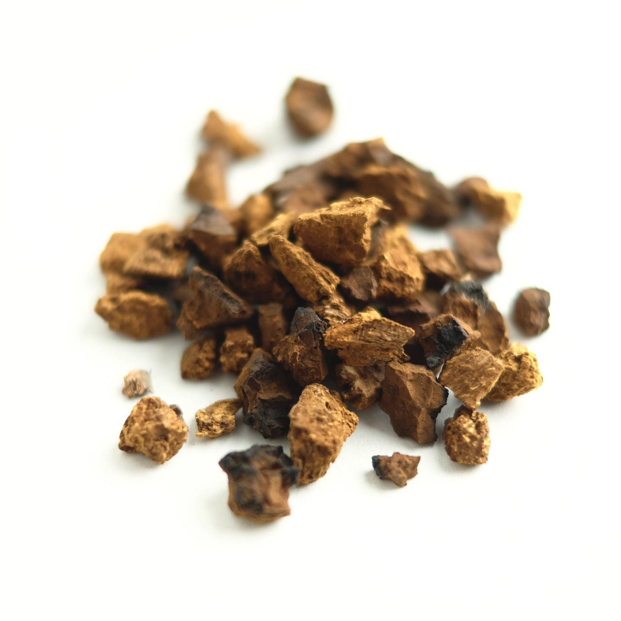 A close up of Chaga Mushroom.