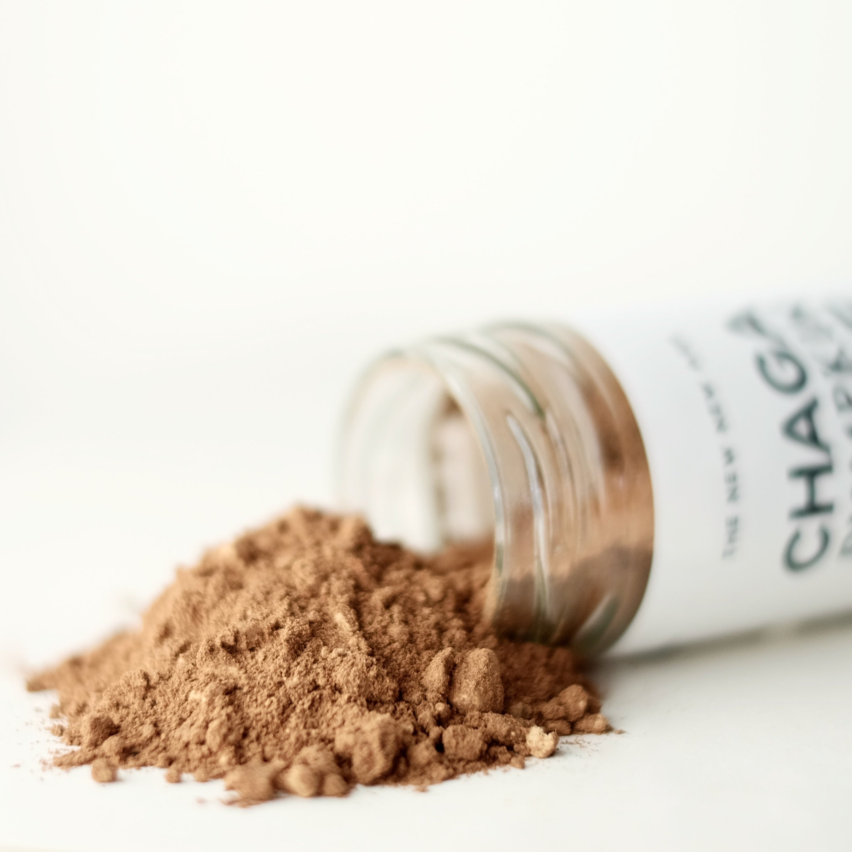 A close up of Chaga Pumpkin Spice, featuring Chaga Mushroom.