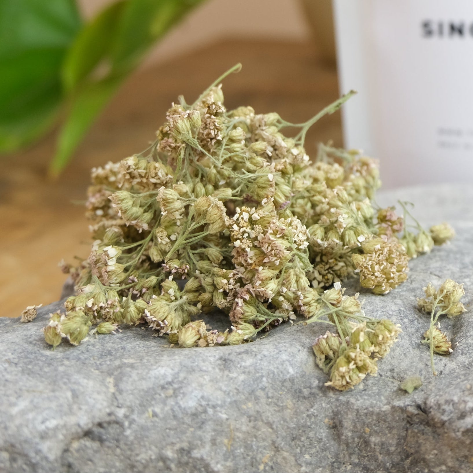 A package labeled 'YARROW' with dried yarrow flowers and leaves in front of it, placed on a rock.