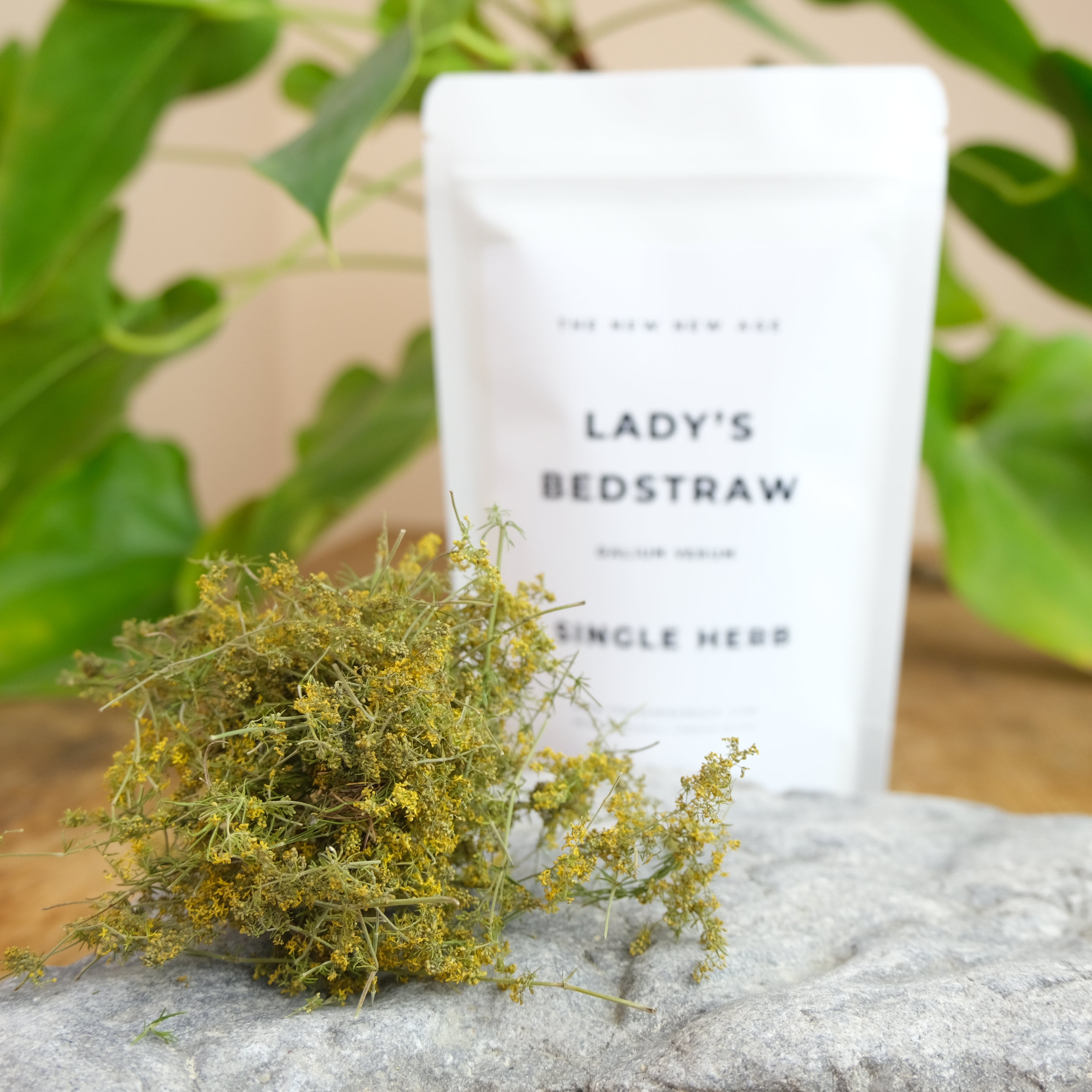 OUR LADY'S BEDSTRAW