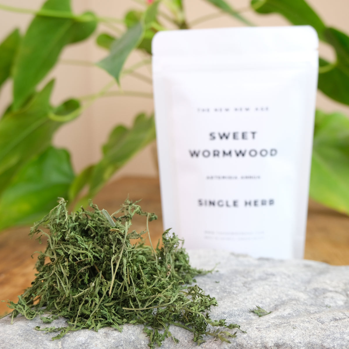 SWEET WORMWOOD