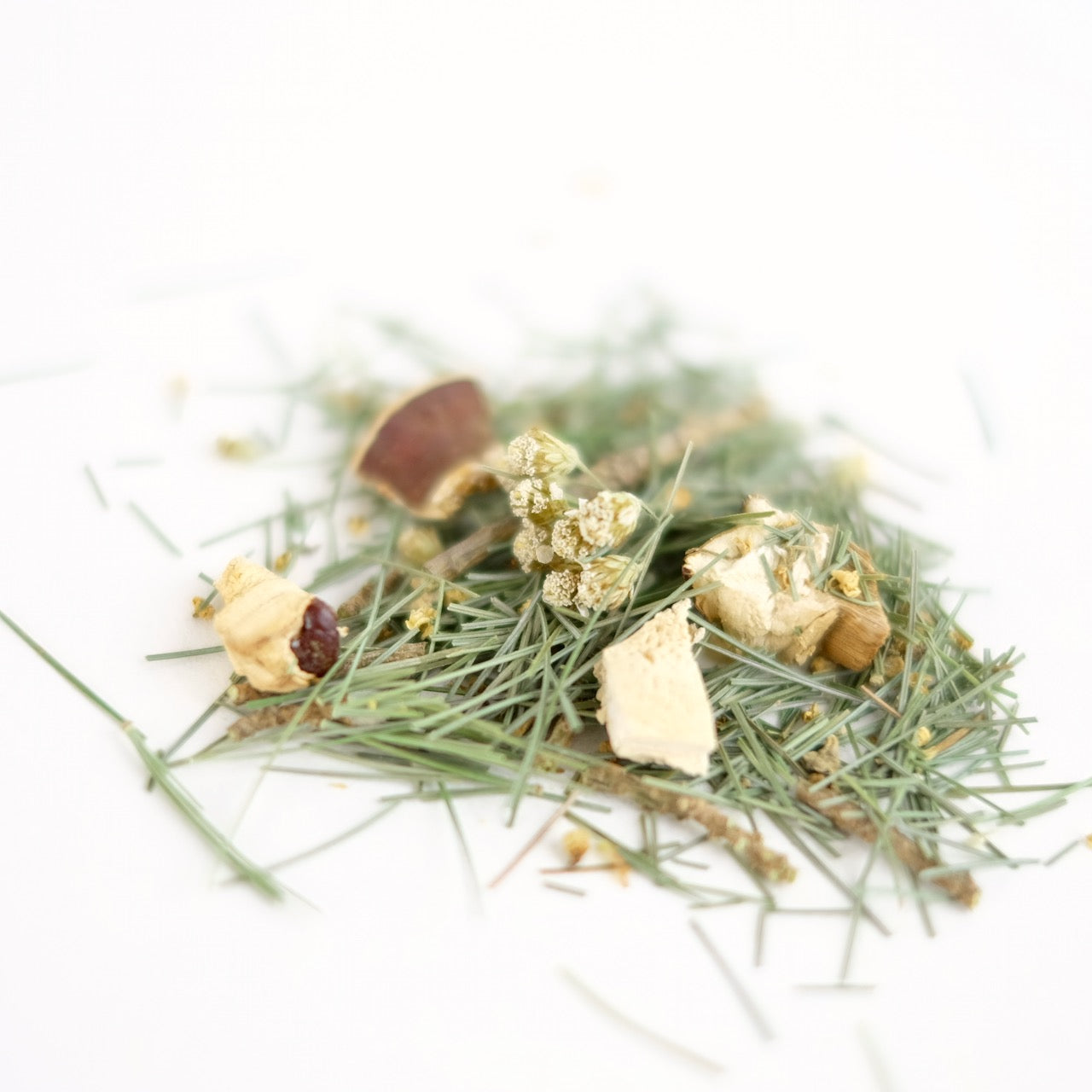 A close up of organic herbal tea called Tea of Peace, featuring eastern white pine, elder flower, yarrow and reishi mushroom. Formulated by Immaculata Herb Farm.