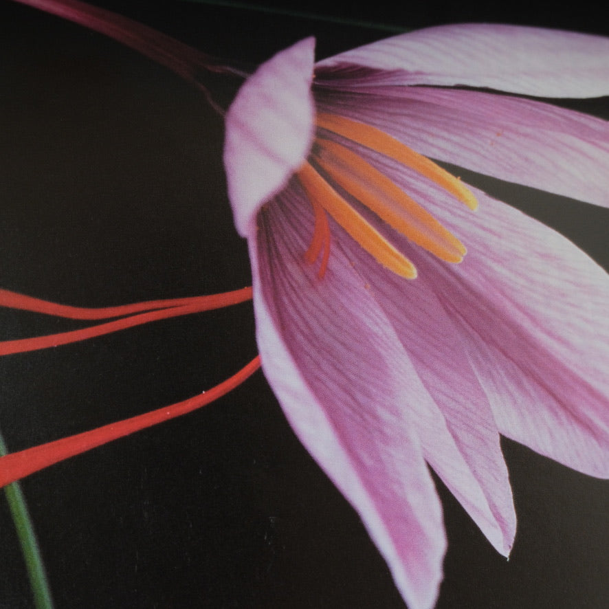 THE HARROWSMITH ILLUSTRATED BOOK OF HERBS