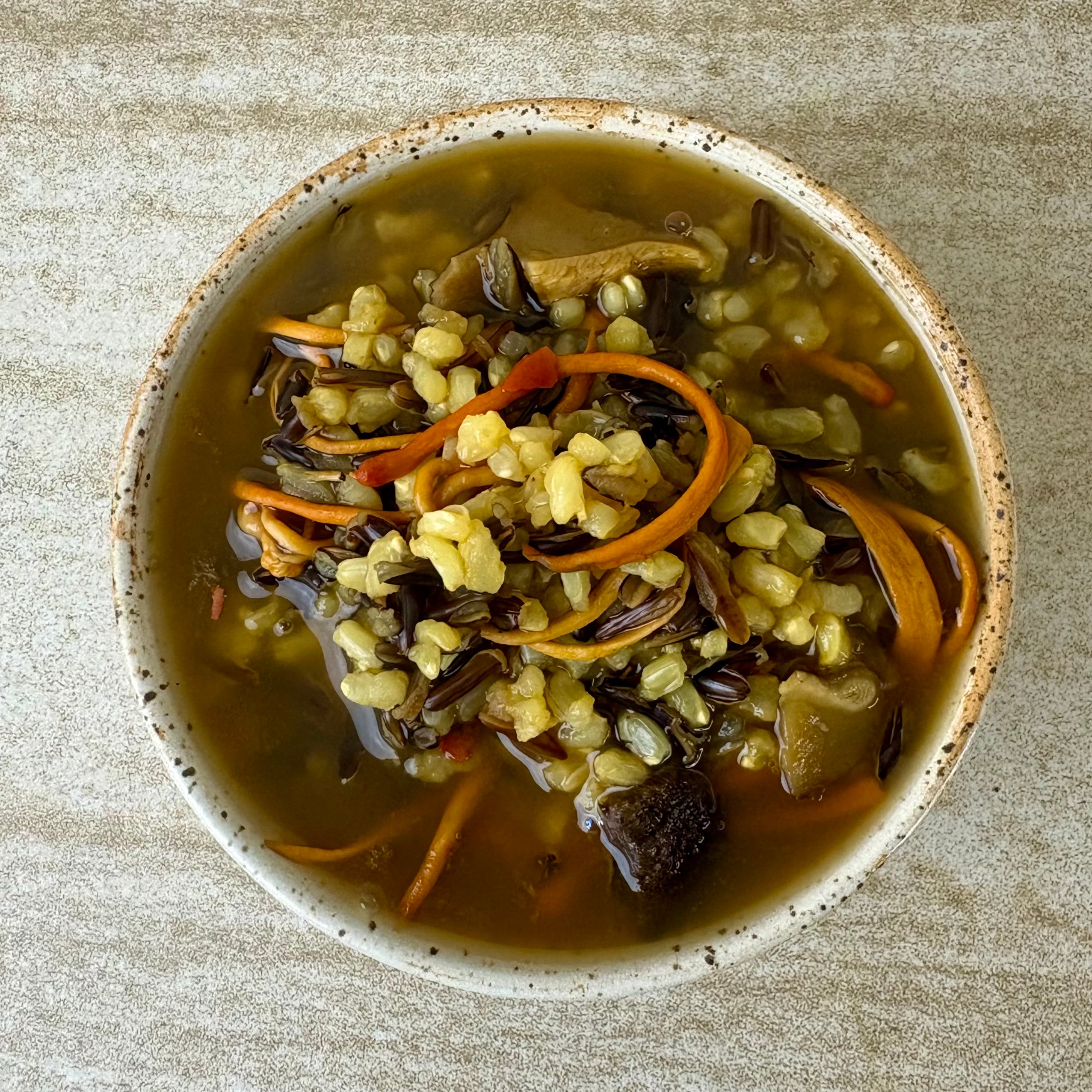 Foragers soup mushroom and wild rice by the New New Age