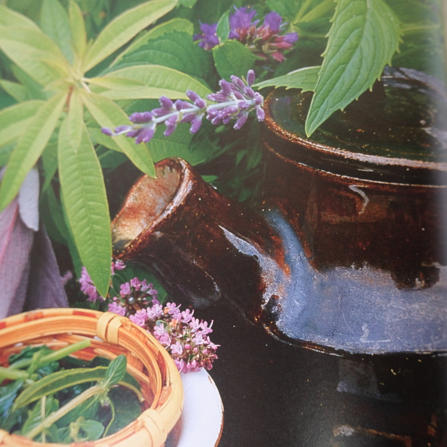 HERBS THE COMPLETE GARDENER'S GUIDE